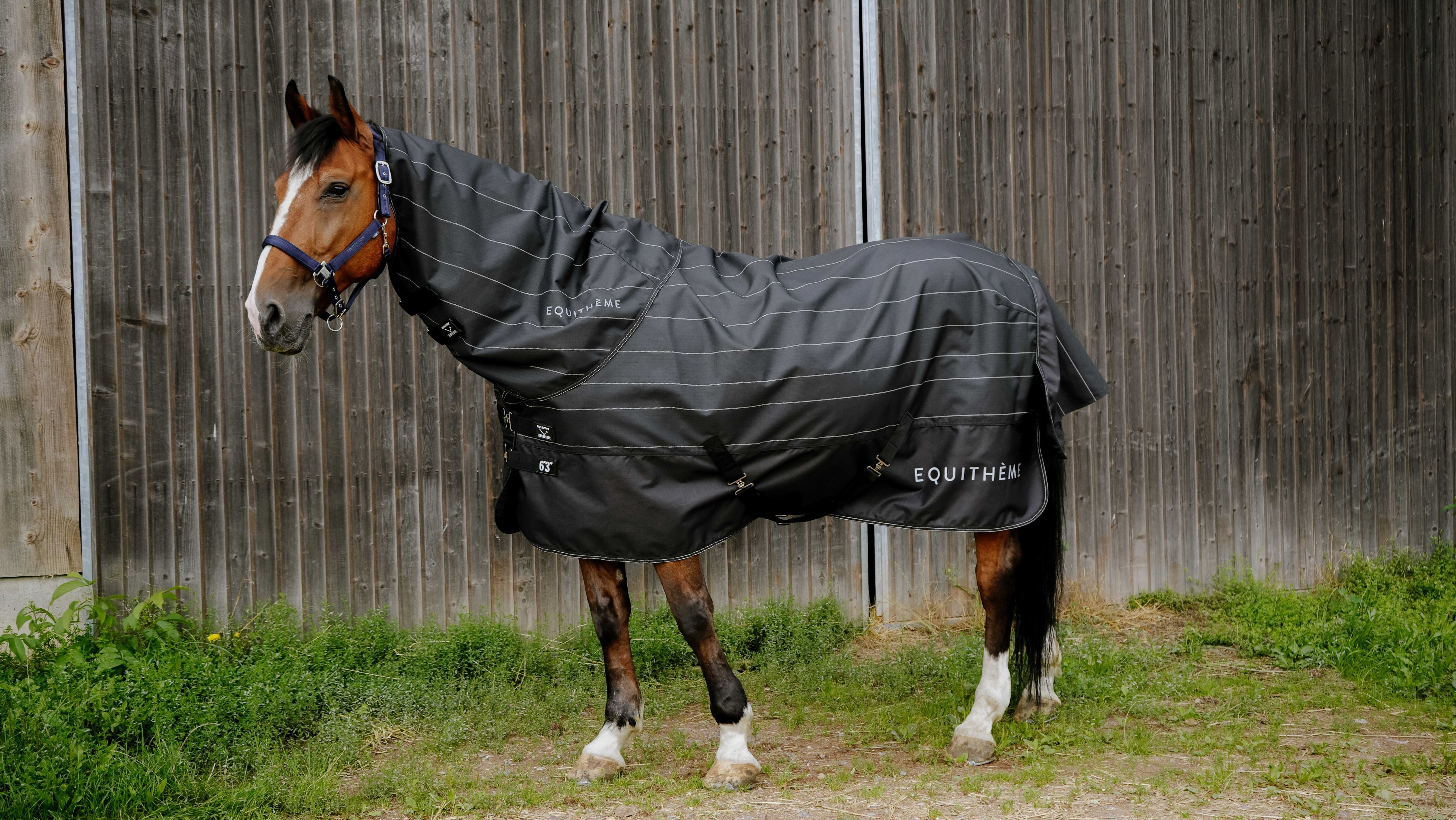 EQUITHÈME TYREX Lumin 600D Neck Cover Black