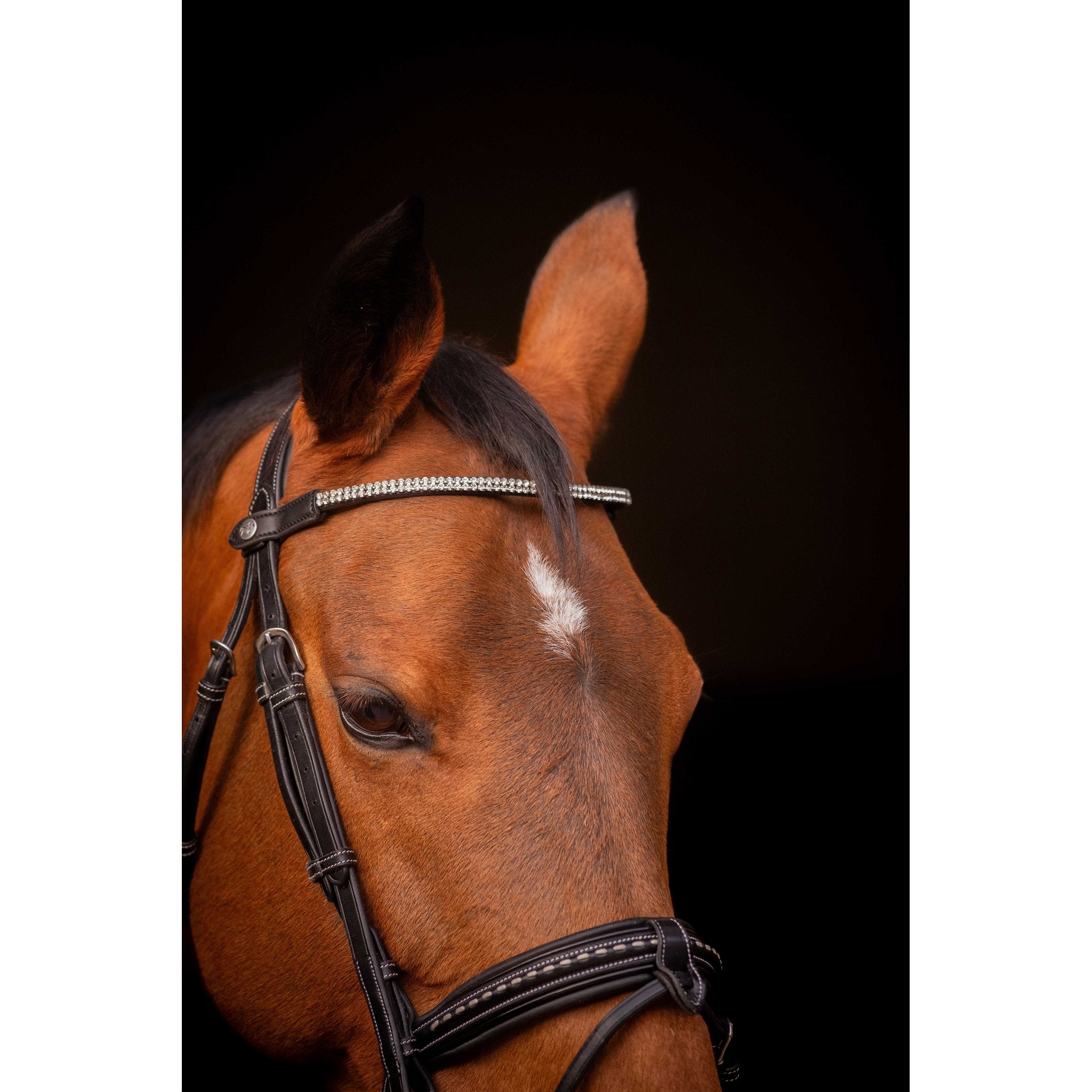 PENELOPE "Eloria" Strass Browband Black - 304401302_ambi_3