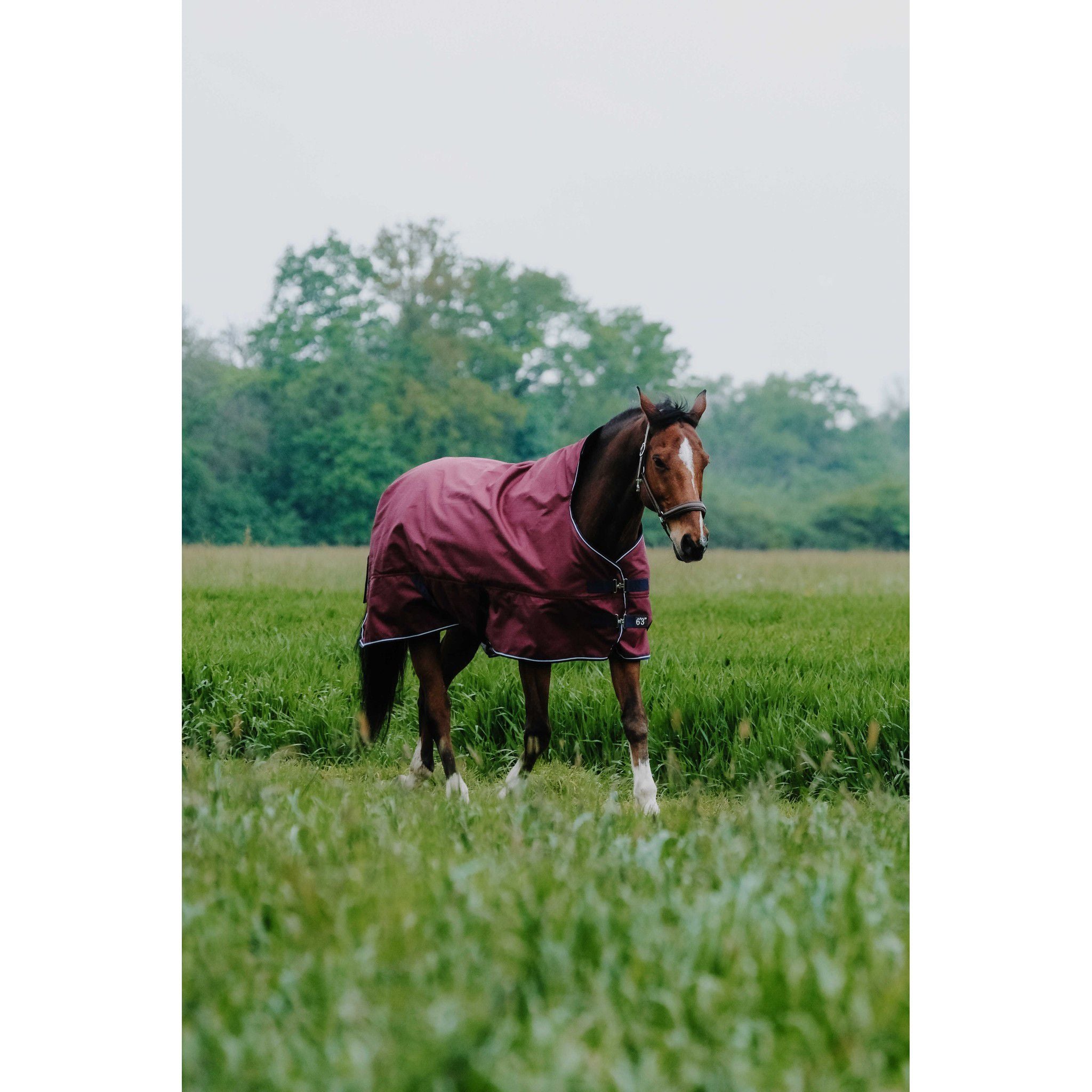EQUITHÈME Tyrex 1200D Turnout sheet Reflec - High Neck Burgundy 400931363