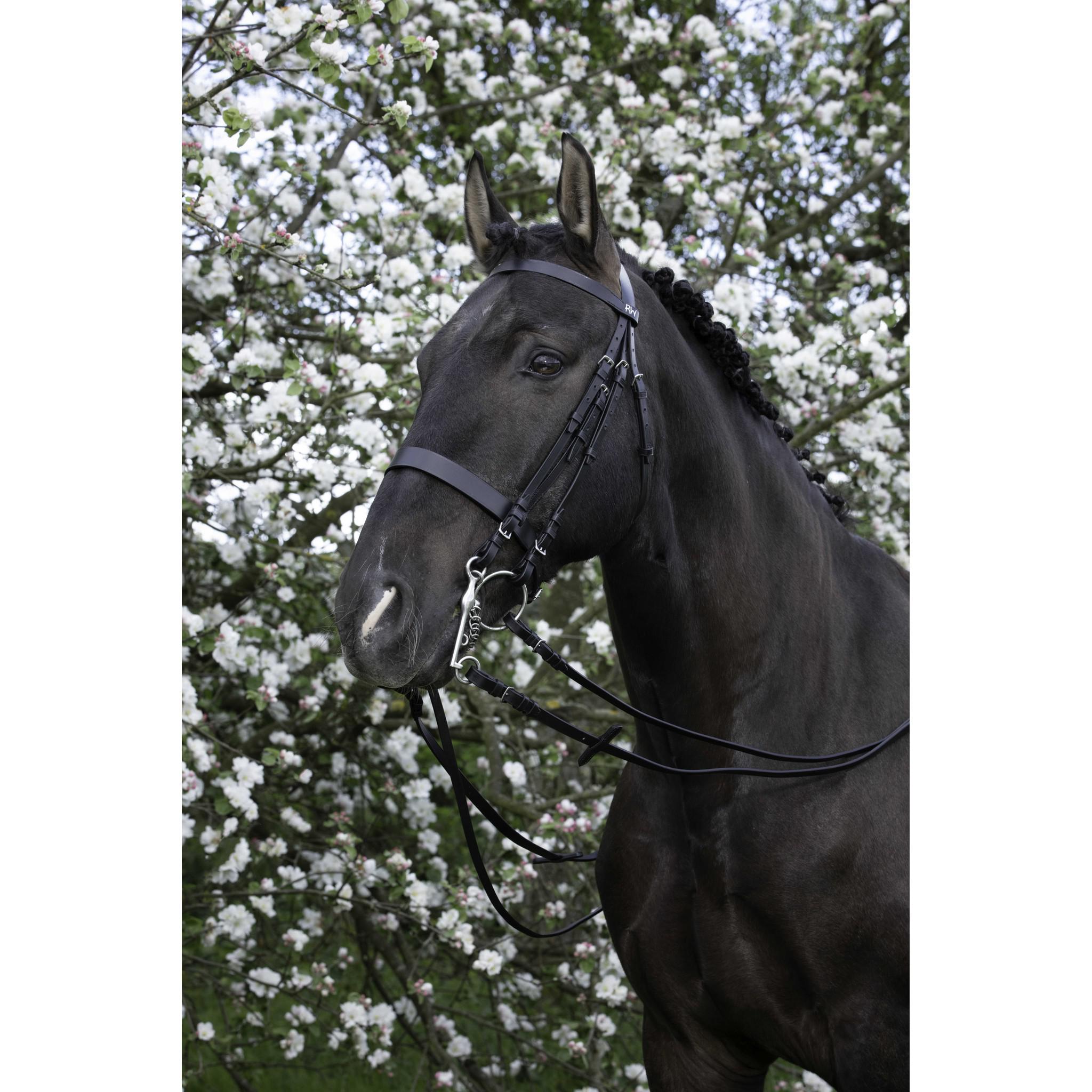 Riding World Bridle Black 303006302
