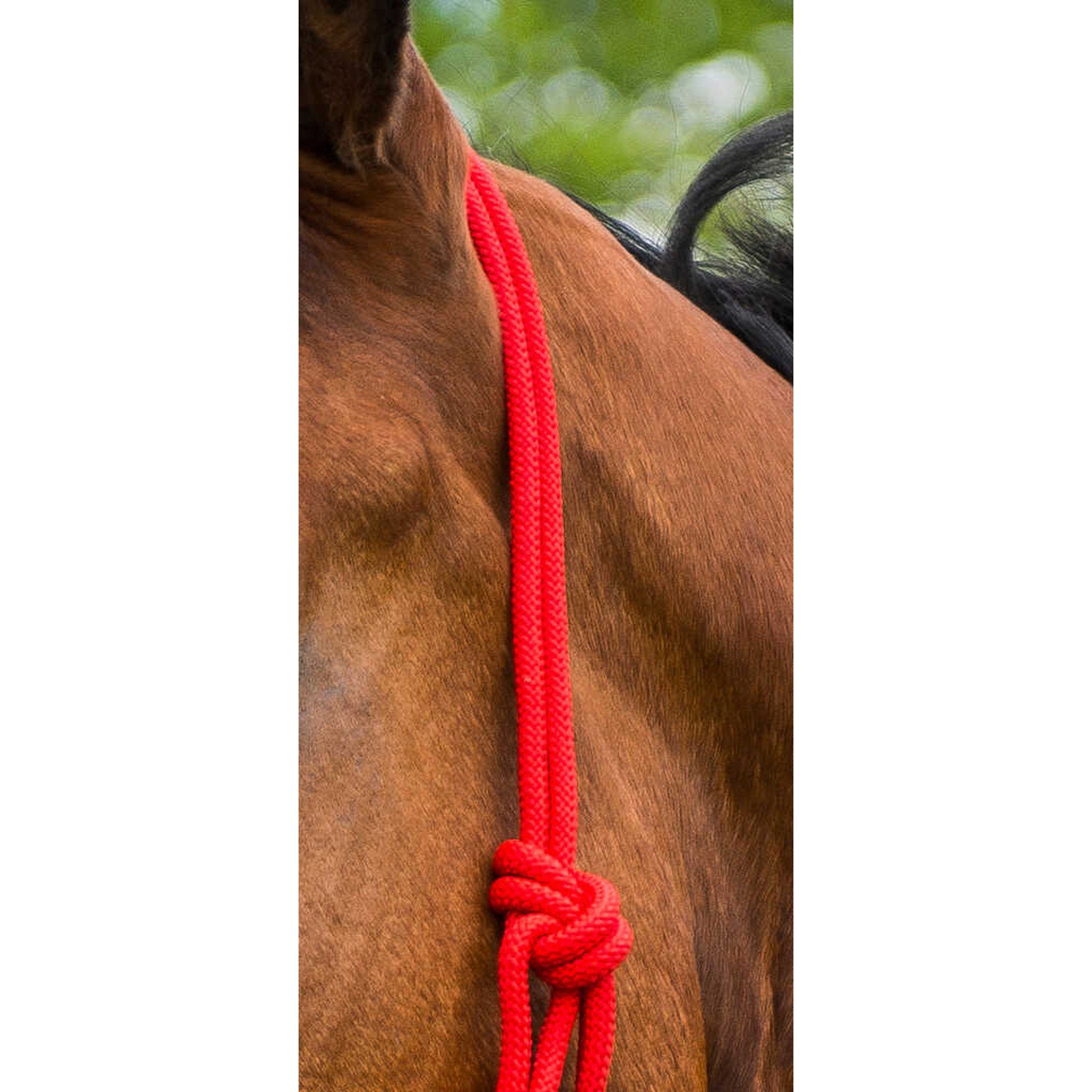 Norton Rope halter “First” Red 510149003