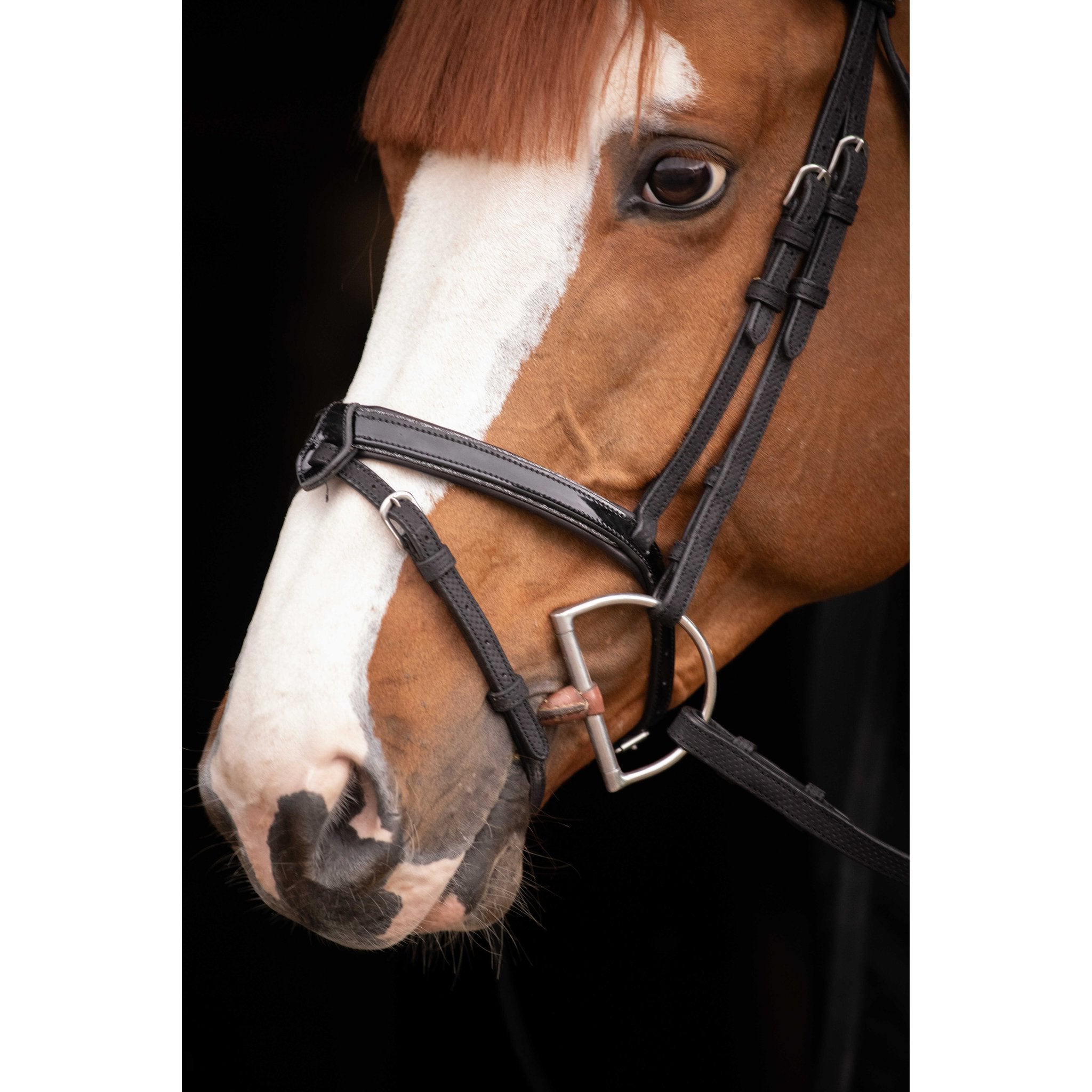 Penelope Oxford Bridle Black - 301608302_ambi_6