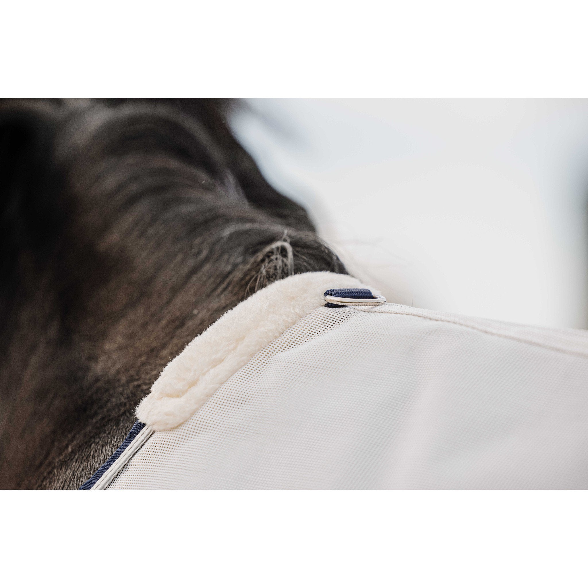 EQUITHÈME Mesh Sheet - Standard White 400353063