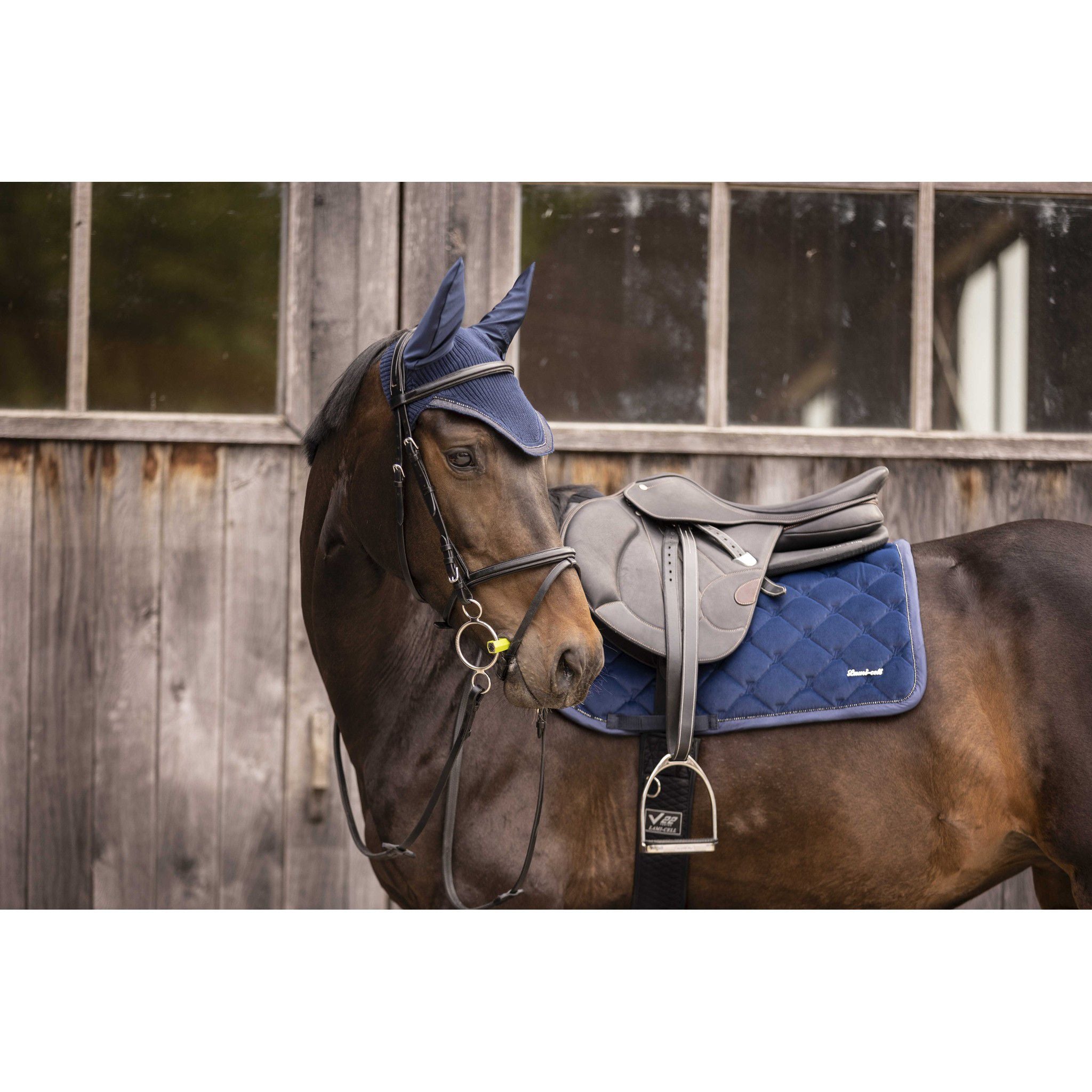 Lami-Cell Galaxy Velvet Saddle Pad - All purpose Navy blue 220033307