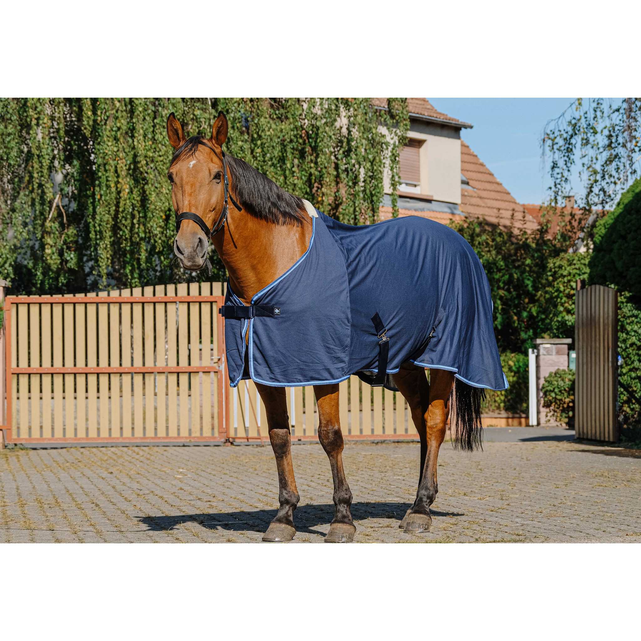 Riding World Fine Mesh Sheet Navy blue 400705063
