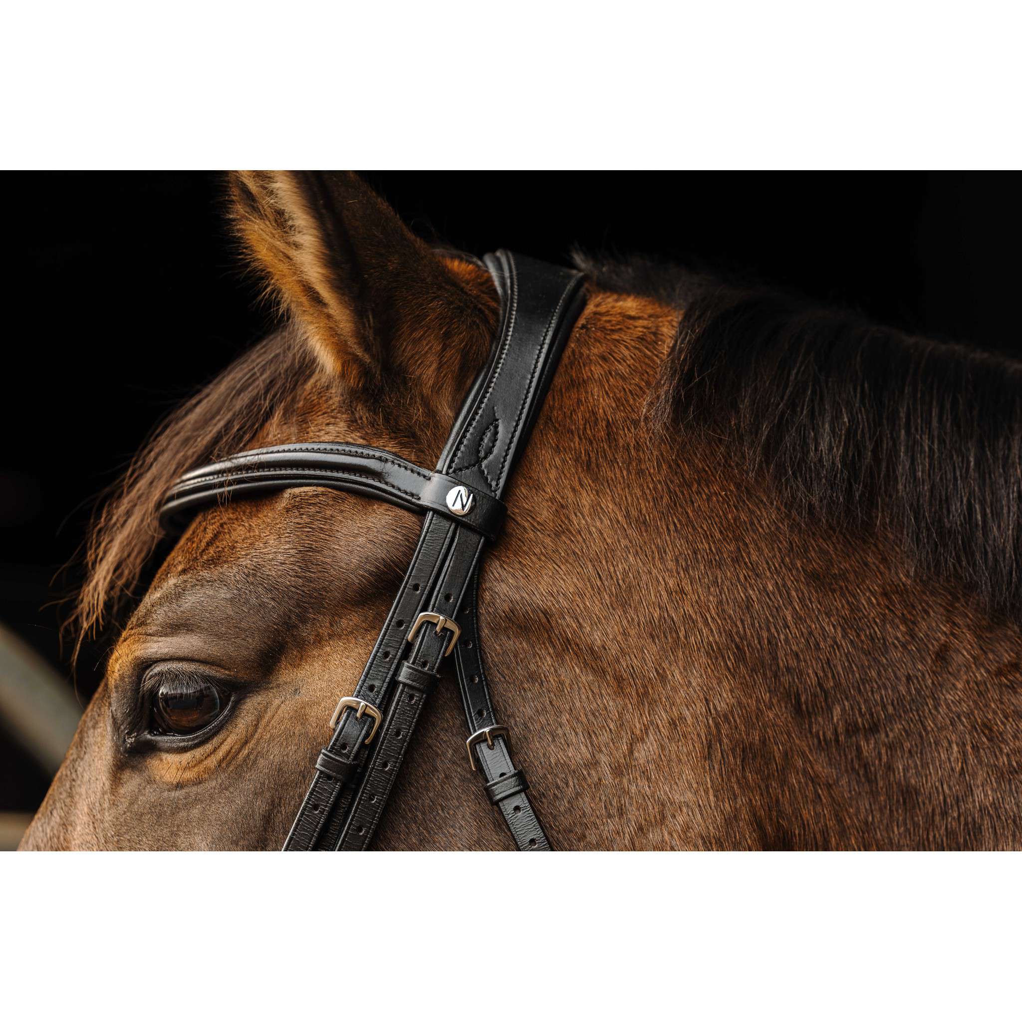 Norton Basal Bridle Black 303036302