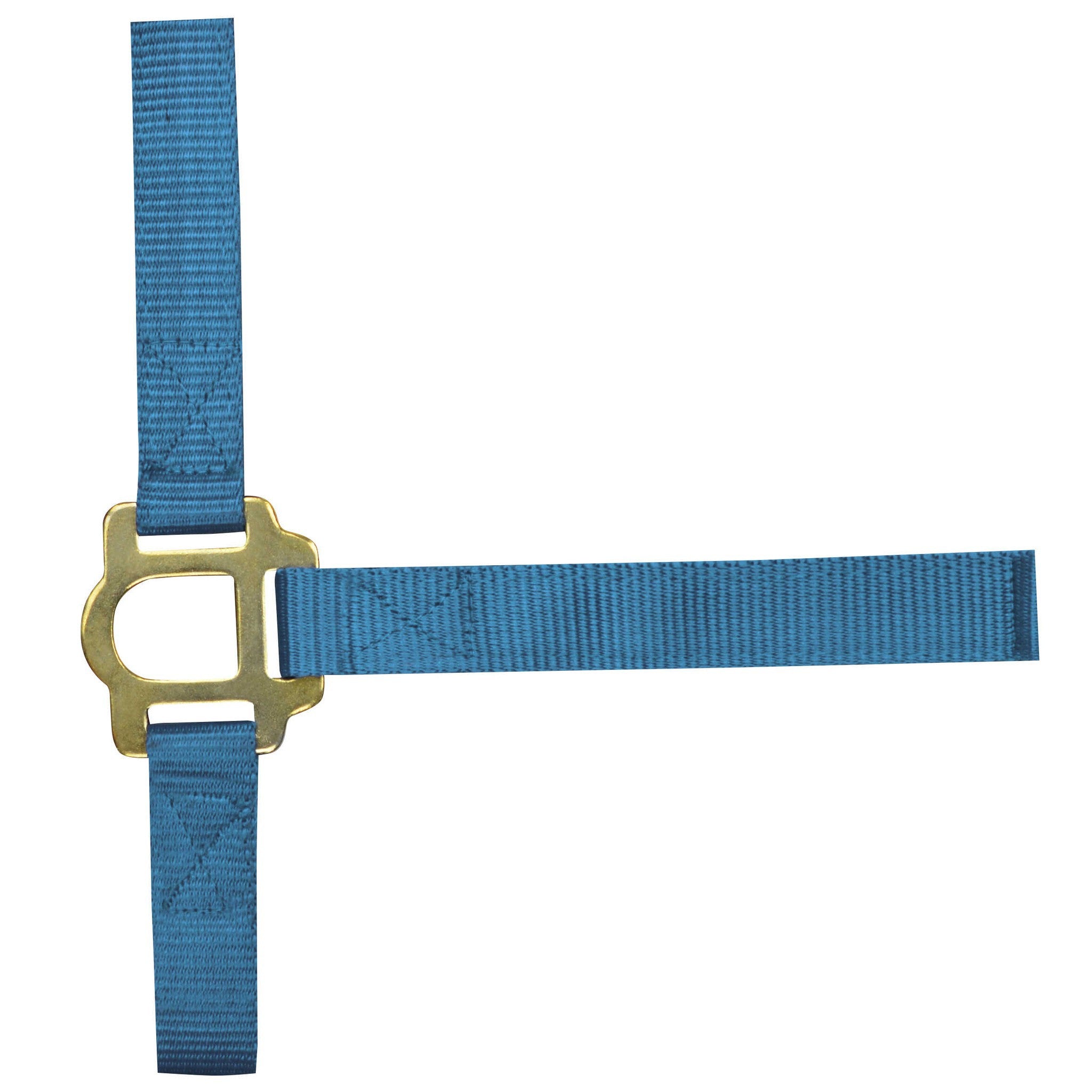 Norton Double thickness nylon headcollar with buckles Turquoise 510041017