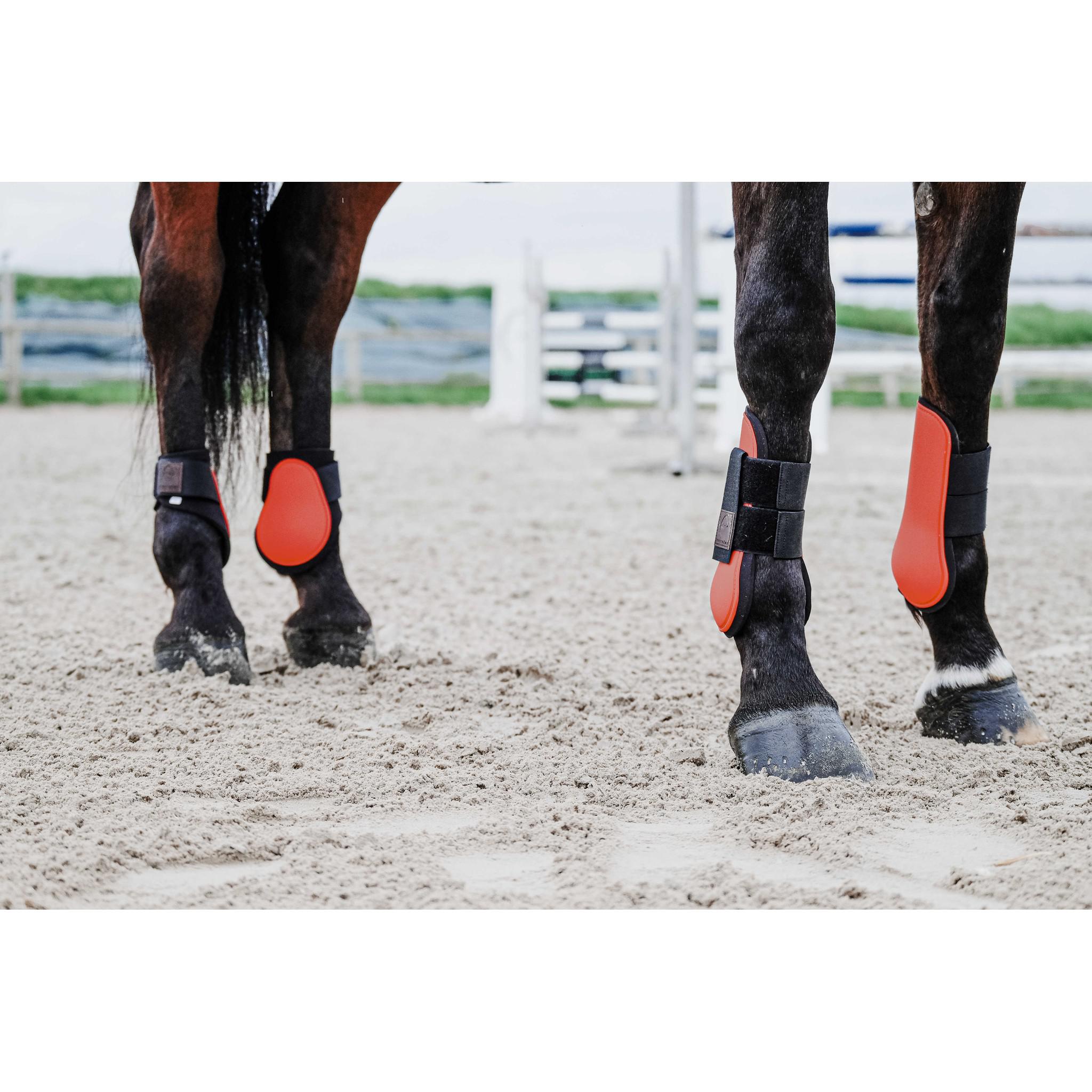 EQUITHÈME Tara Fetlock boots Orange 530817322