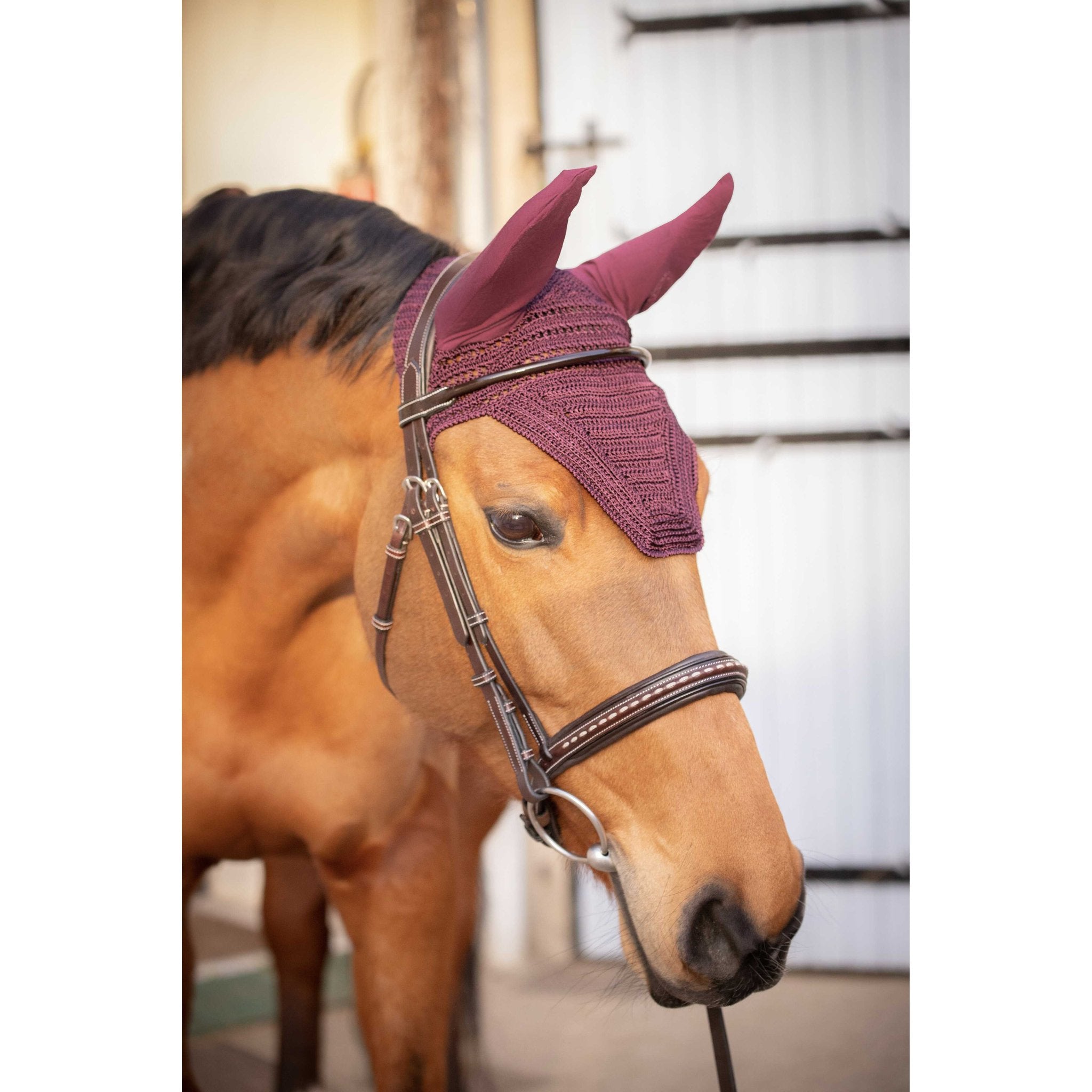 Paddock Sports Prem's Fly Veil Plum - 306969334_ambi_1