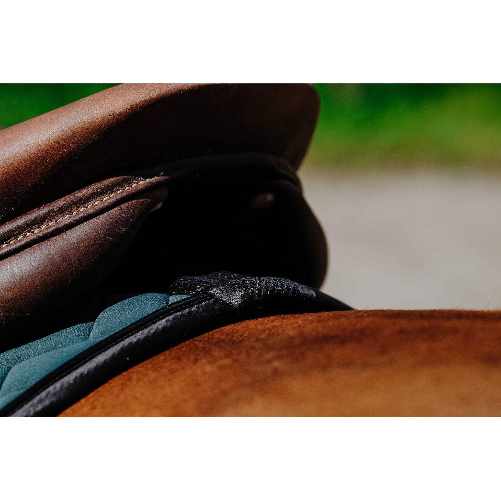 EQUITHÈME Impulsion Saddle Pad - All purpose Green 204006009