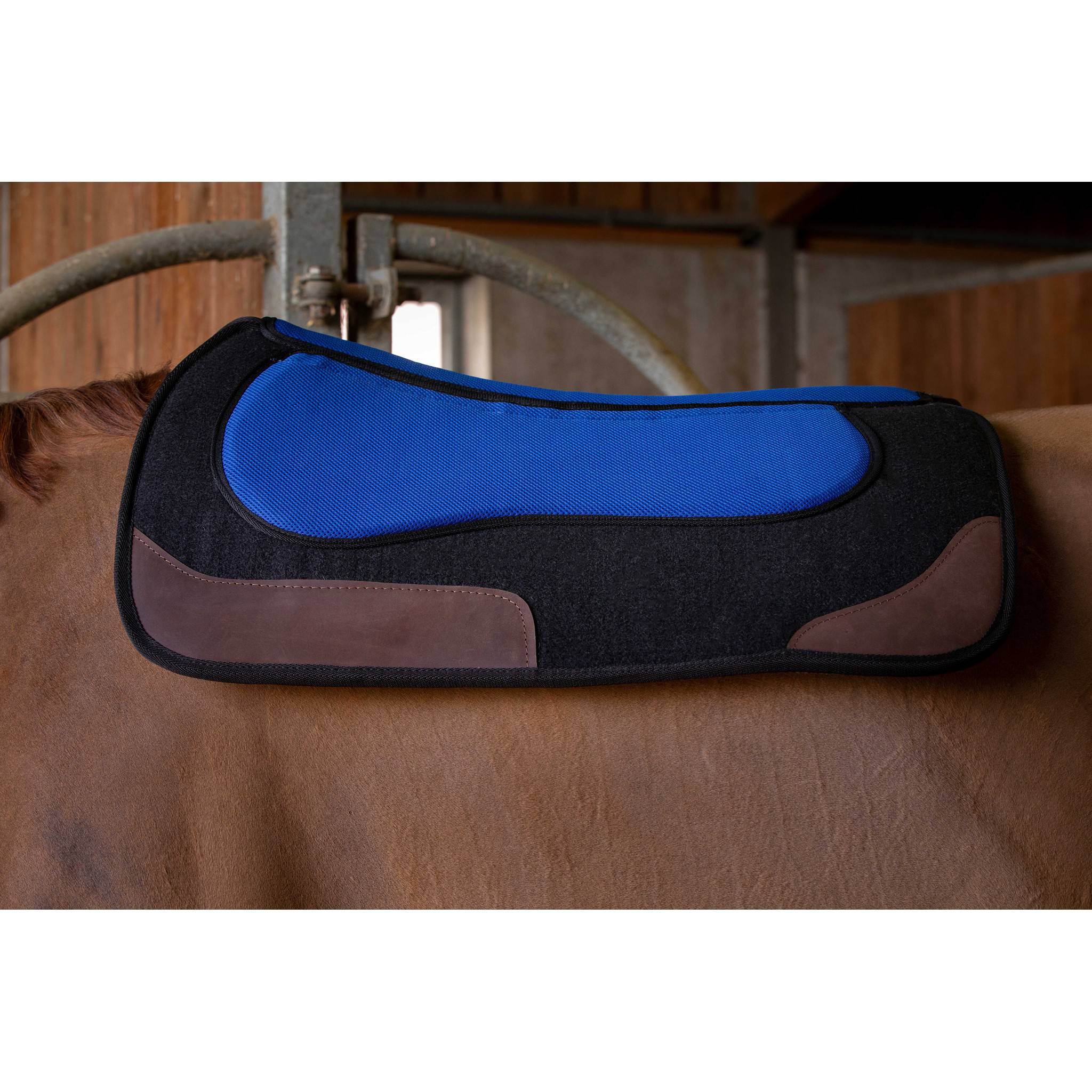 Westride Pro Felt and Foam Western saddle pad Black/blue 801108002