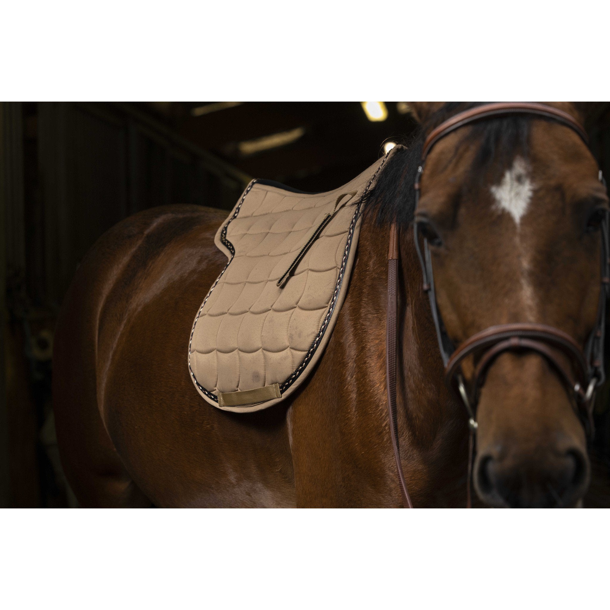 EQUITHÈME Saddle pad - Hunter Camel 204475005