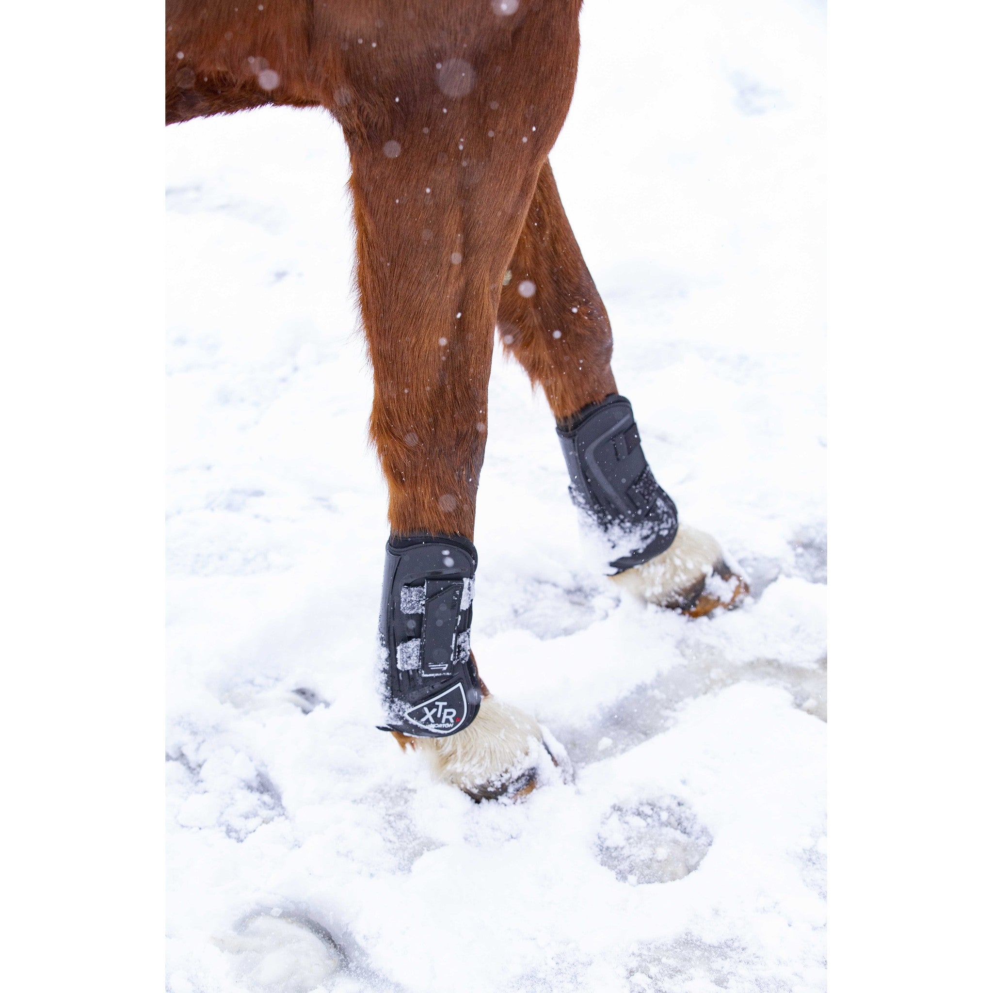 Norton XTR Horse Boots - Black - 530660023_ambi_201