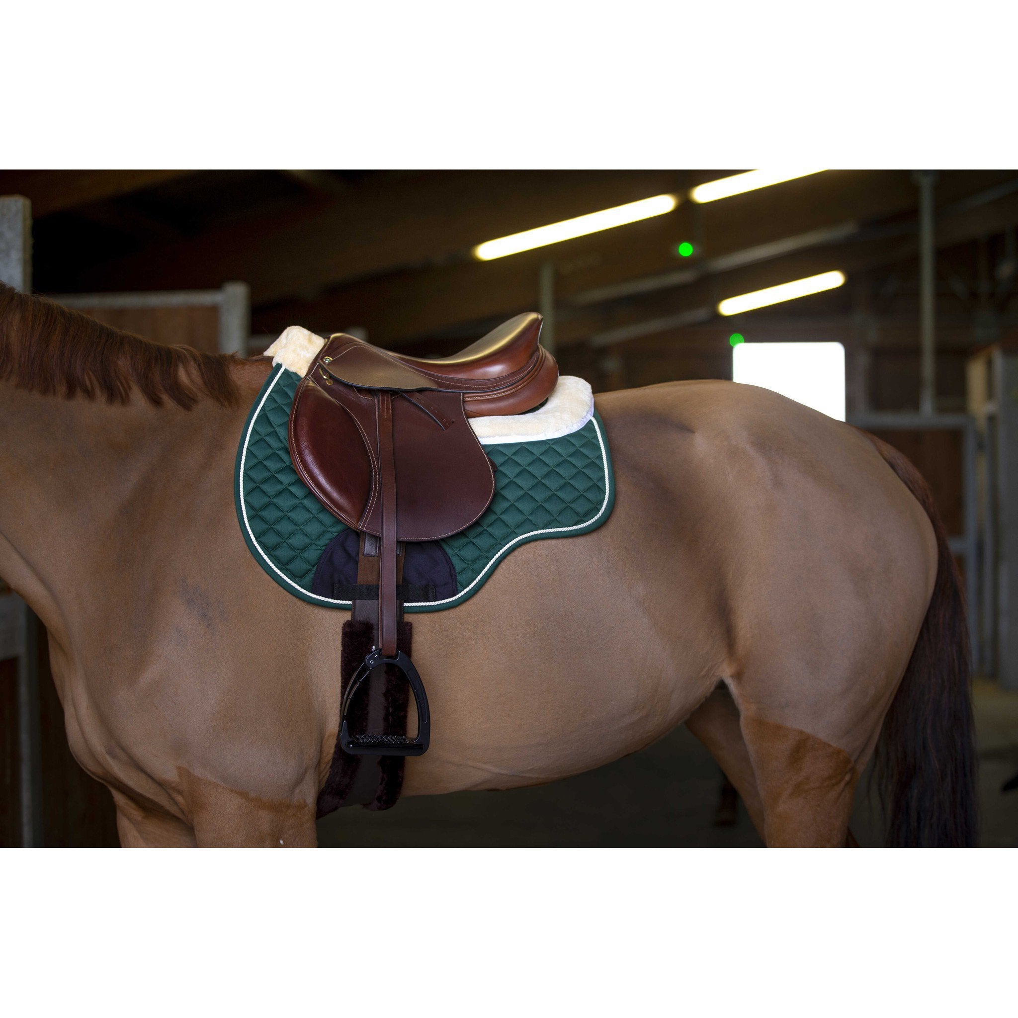 Norton Saddle pad/back pad - All purpose Green 204384008