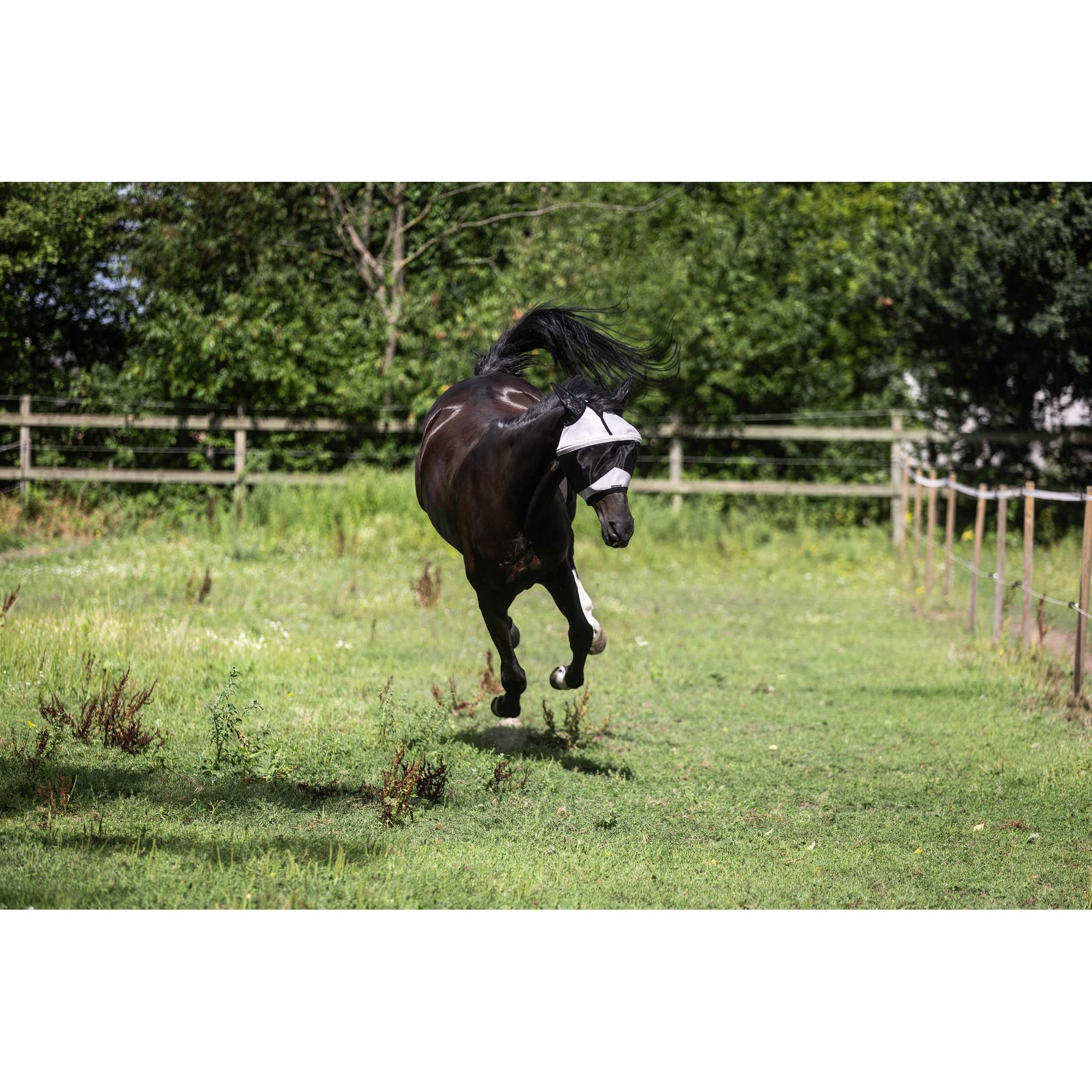 LAMI-CELL Easyfit Fly Mask Grey - 306048311_ambi_5
