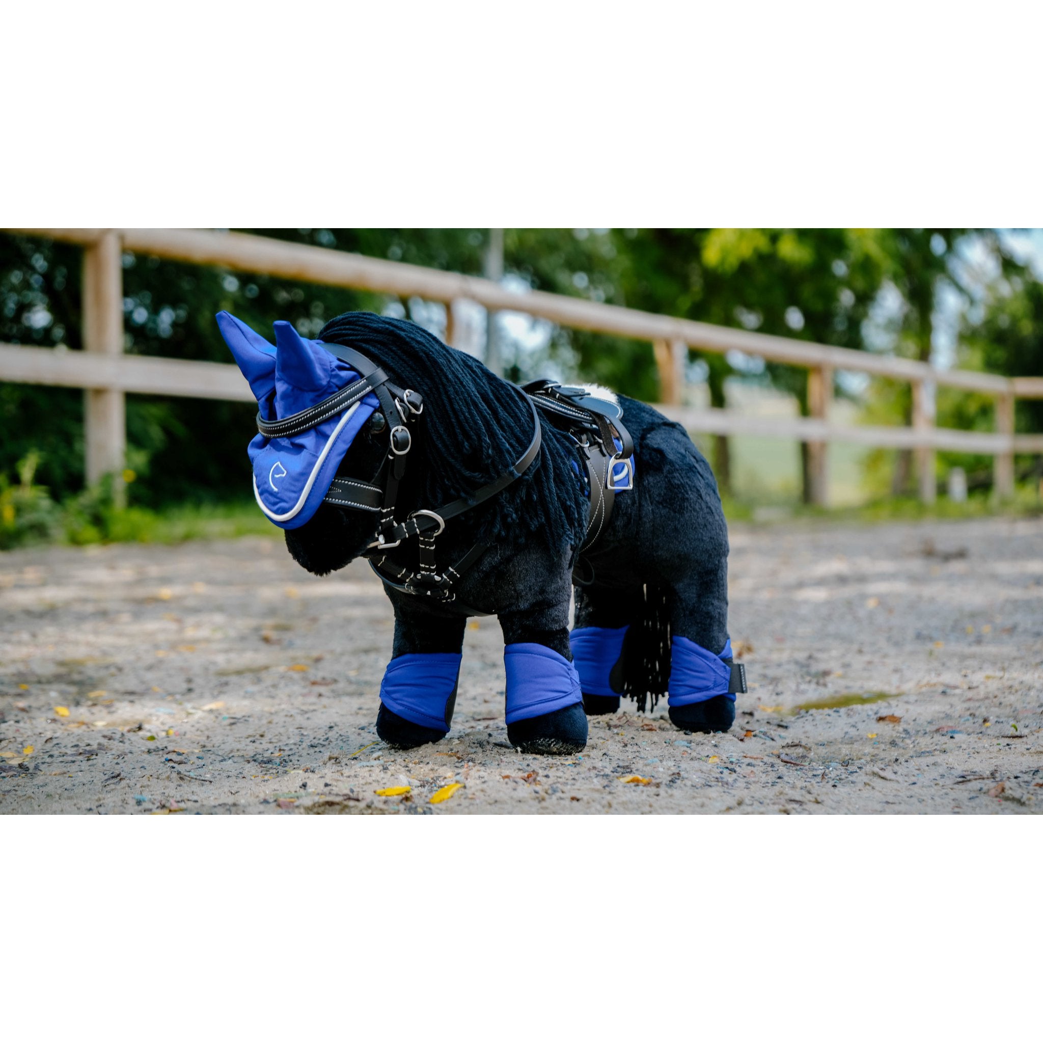 PONY ACADEMY Mini Brushing Boots and Fetlock Set Royal blue - 901424006_ambi_1