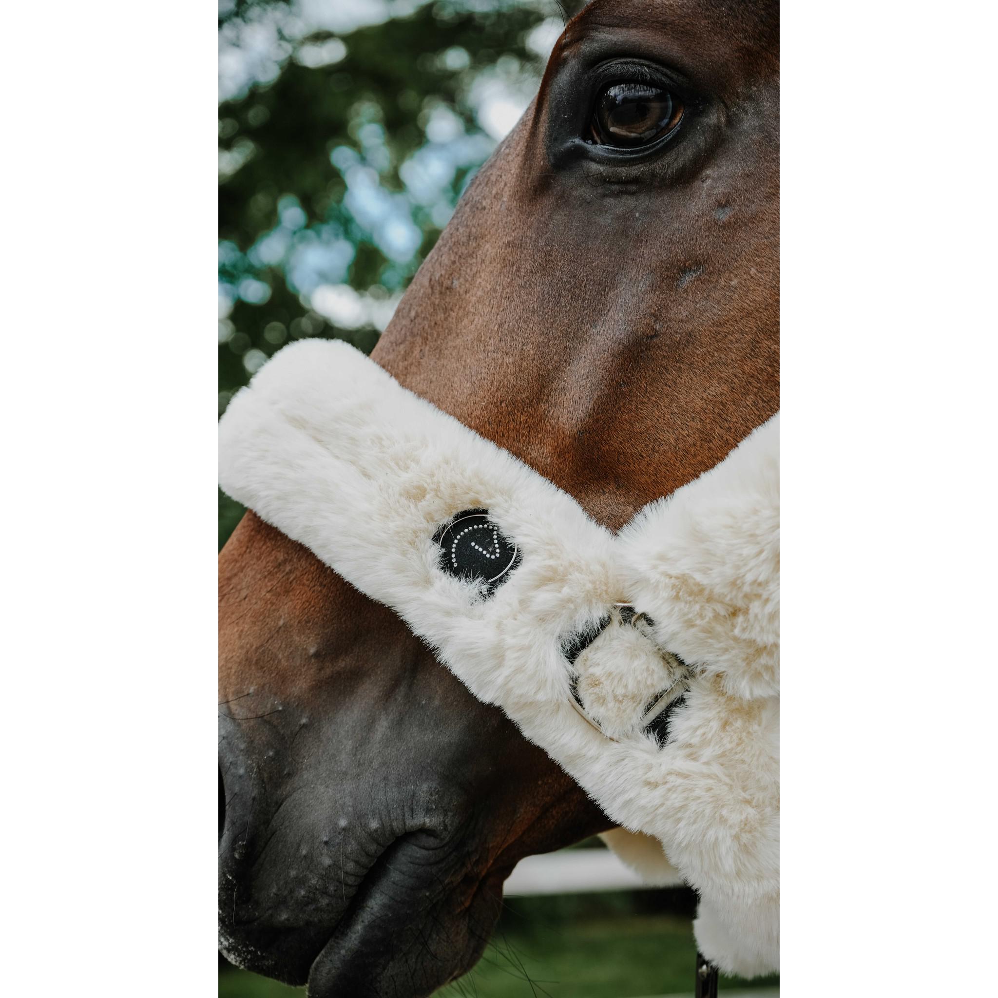Je t'aime EQUITHÈME Snuggy Halter Ecru 510274305
