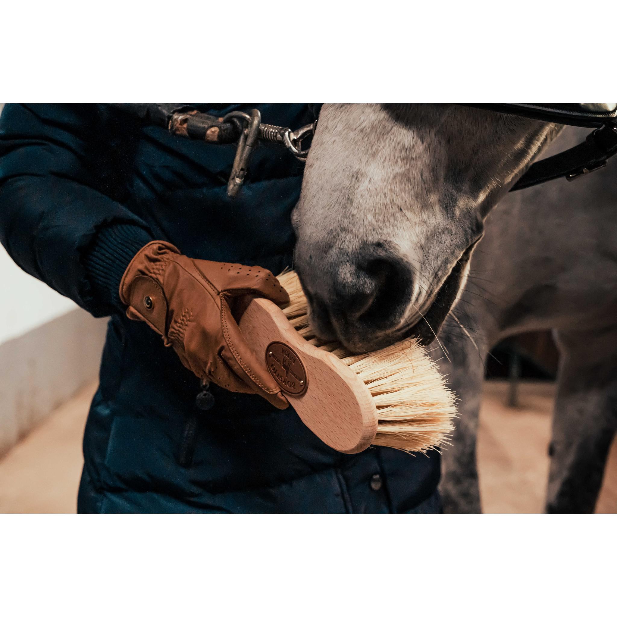 Borstiq Infinite Cactus hair brush Wood 311033