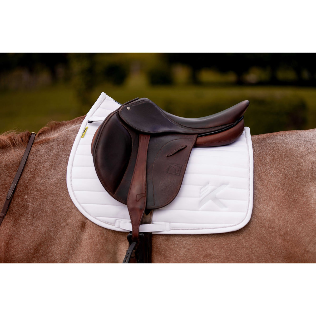 K by EQUITHÈME K-Triton Dressage Saddle Pad - White - 204048301_ambi_3