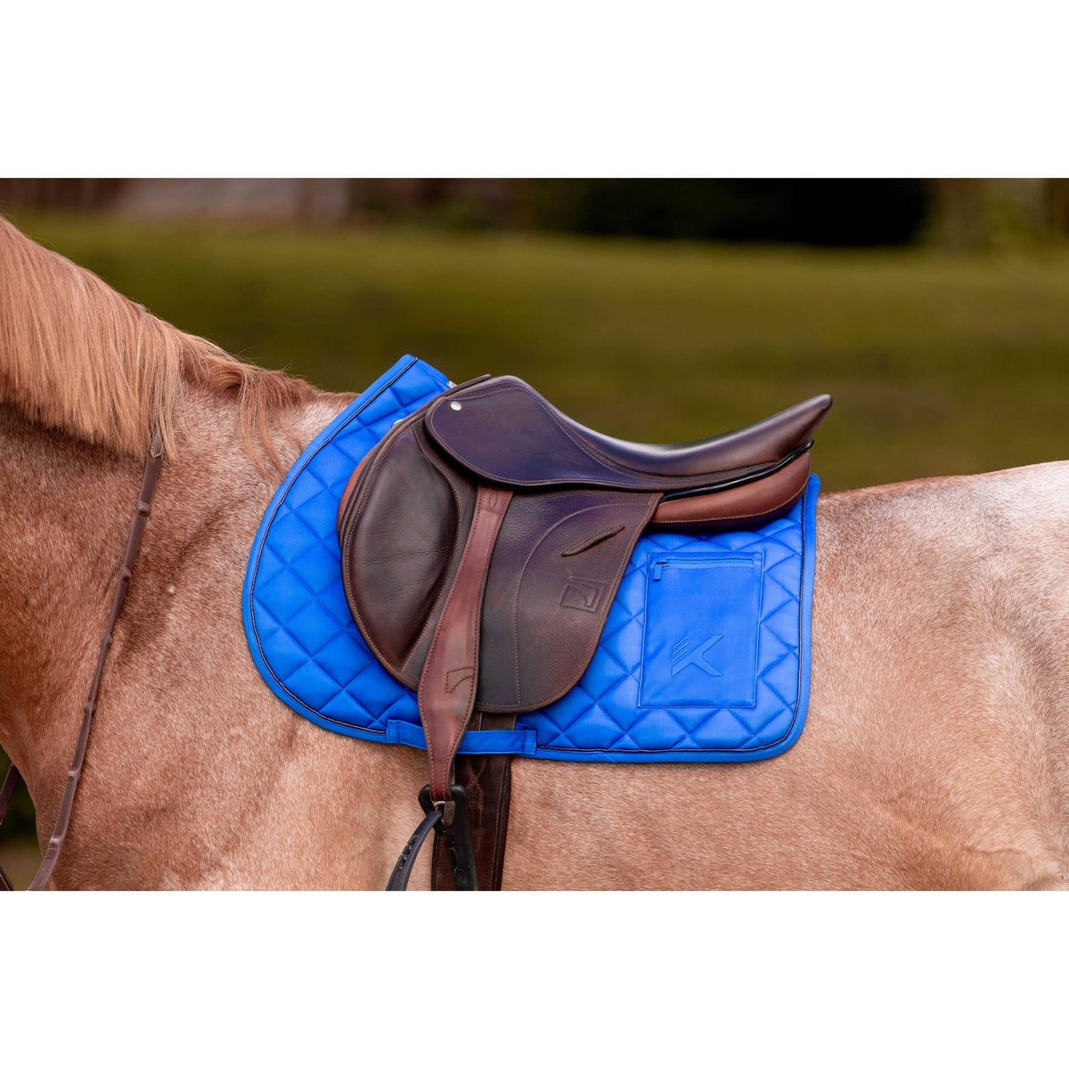 K by EQUITHÈME K-Cesar Saddle Pad - Royal blue - 204050306_ambi_2