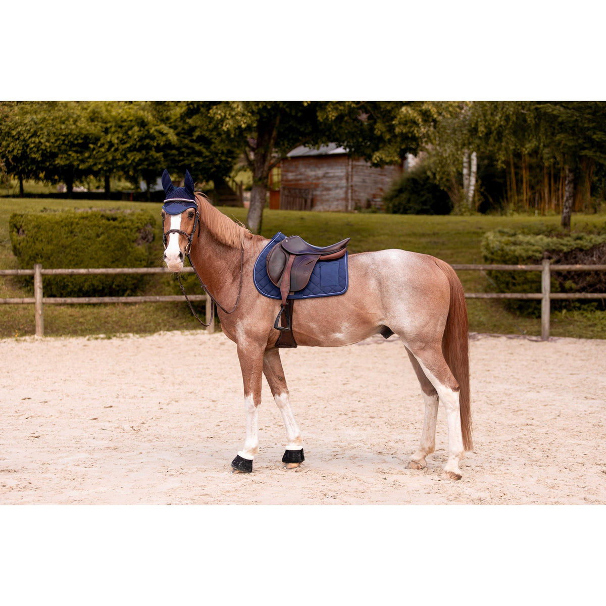 K by EQUITHÈME K-Cesar Saddle Pad - Navy blue - 204050307_ambi_1
