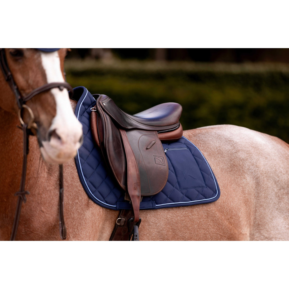 K by EQUITHÈME K-Cesar Saddle Pad - Navy blue - 204050307_ambi_5
