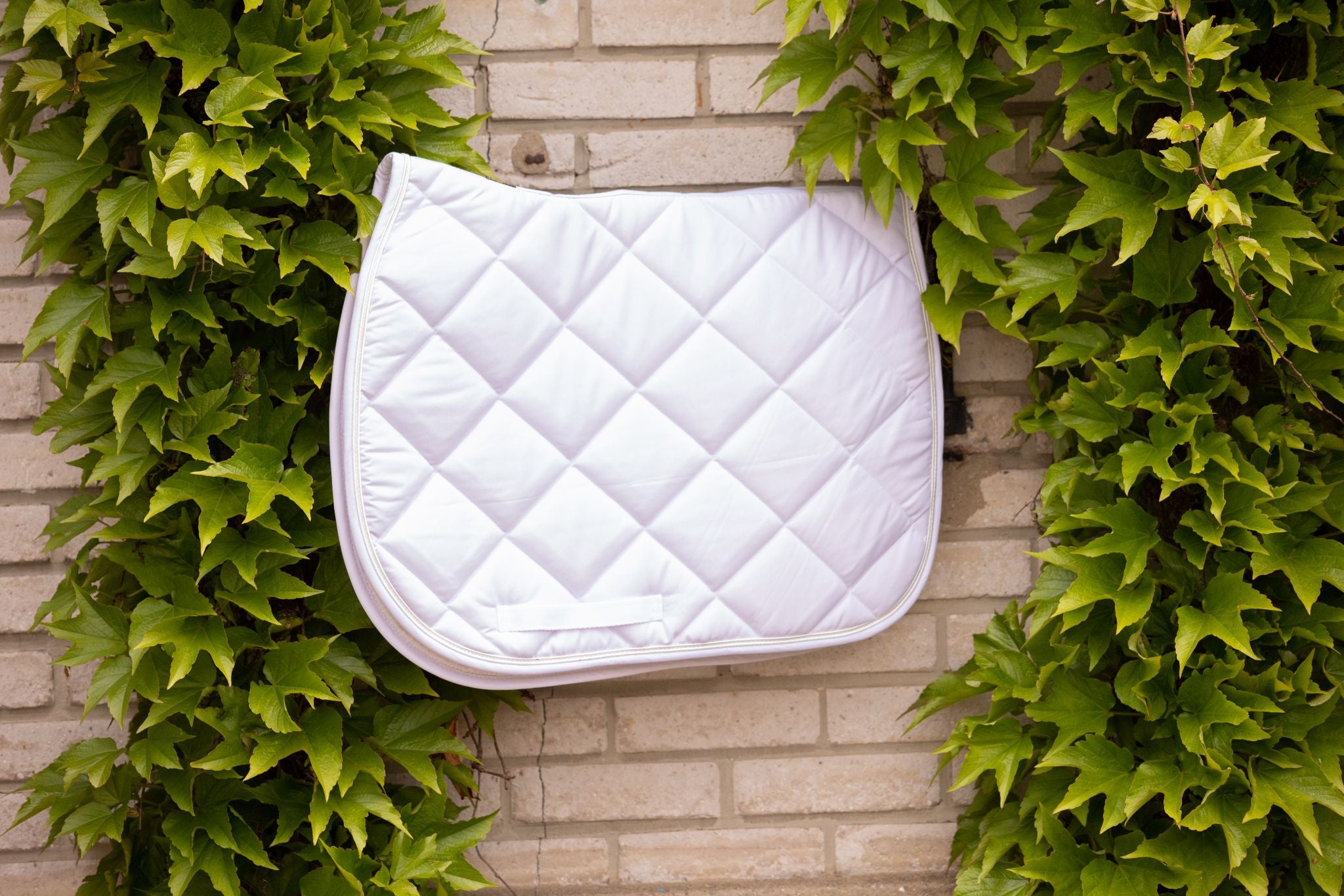 Paddock Sports Prems Saddle pad - All purpose White