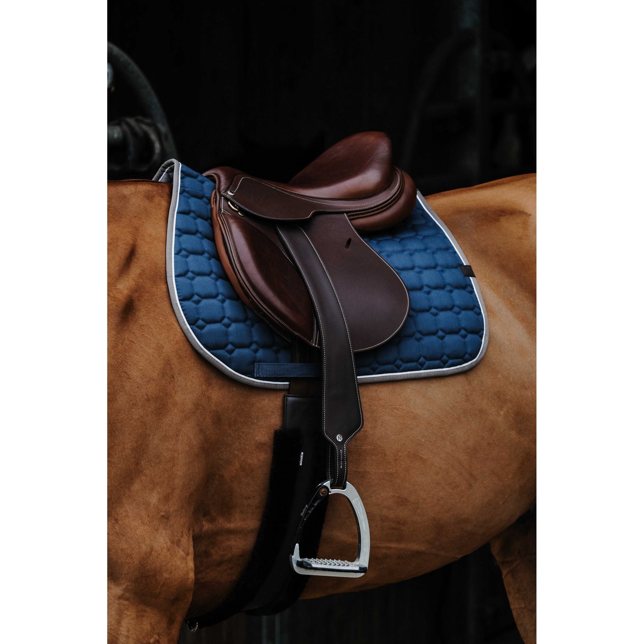 EQUITHÈME Orion saddle pad - All purpose Peacock blue 204774040