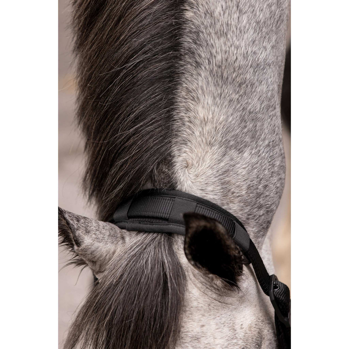 K by EQUITHÈME 30 cm Protective Band - Black - 207505002_ambi_1