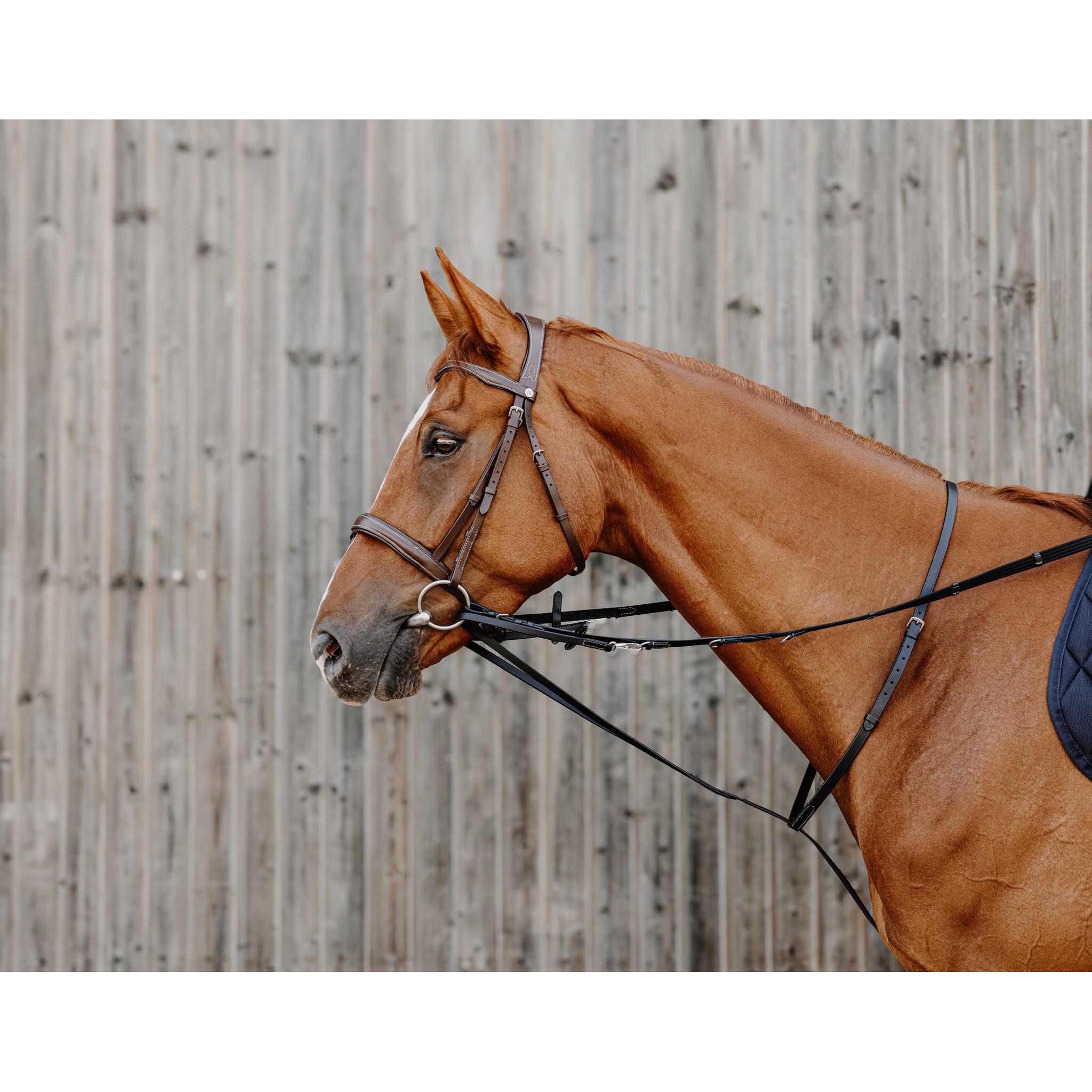 Norton Pro Thiedeman side reins Black 306426102