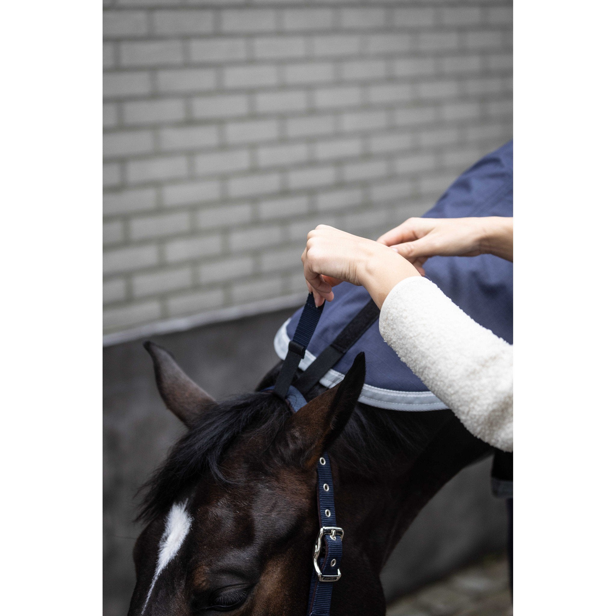 Lami-Cell Armadillo Neck Cover Navy blue 400570307