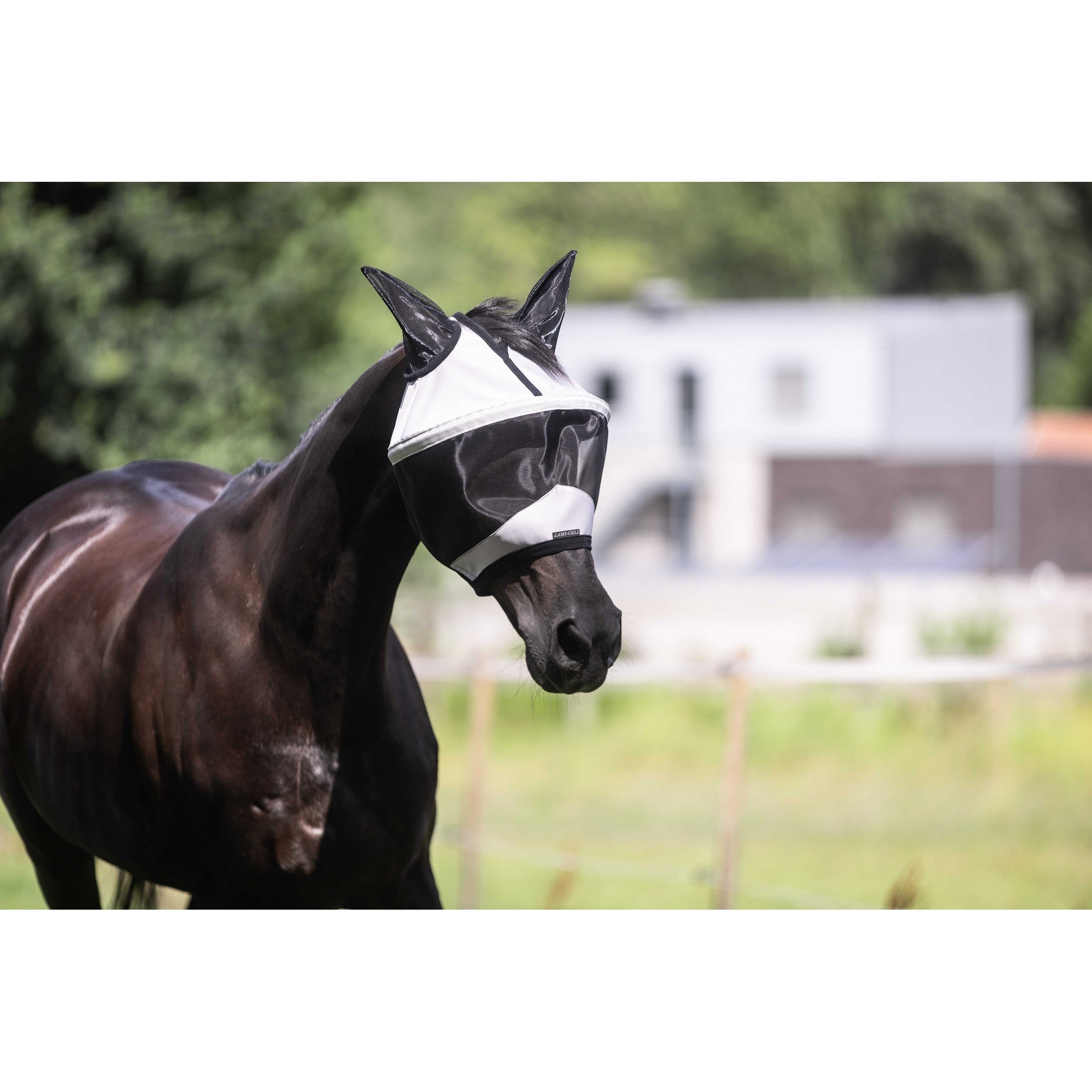 LAMI-CELL Easyfit Fly Mask Grey - 306048311_ambi_6