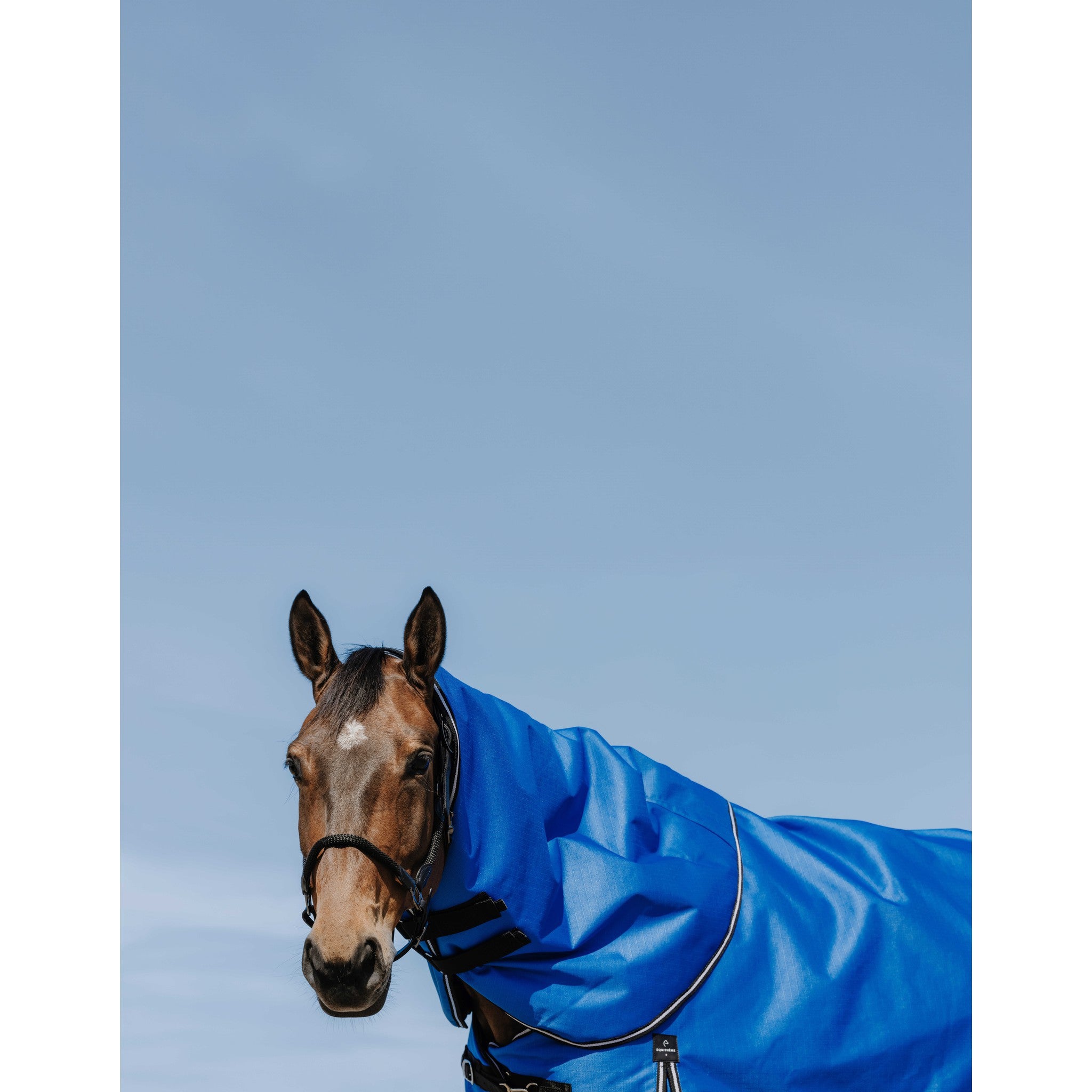 EQUITHÈME Tyrex 1200D Neck cover Royal blue 400992403