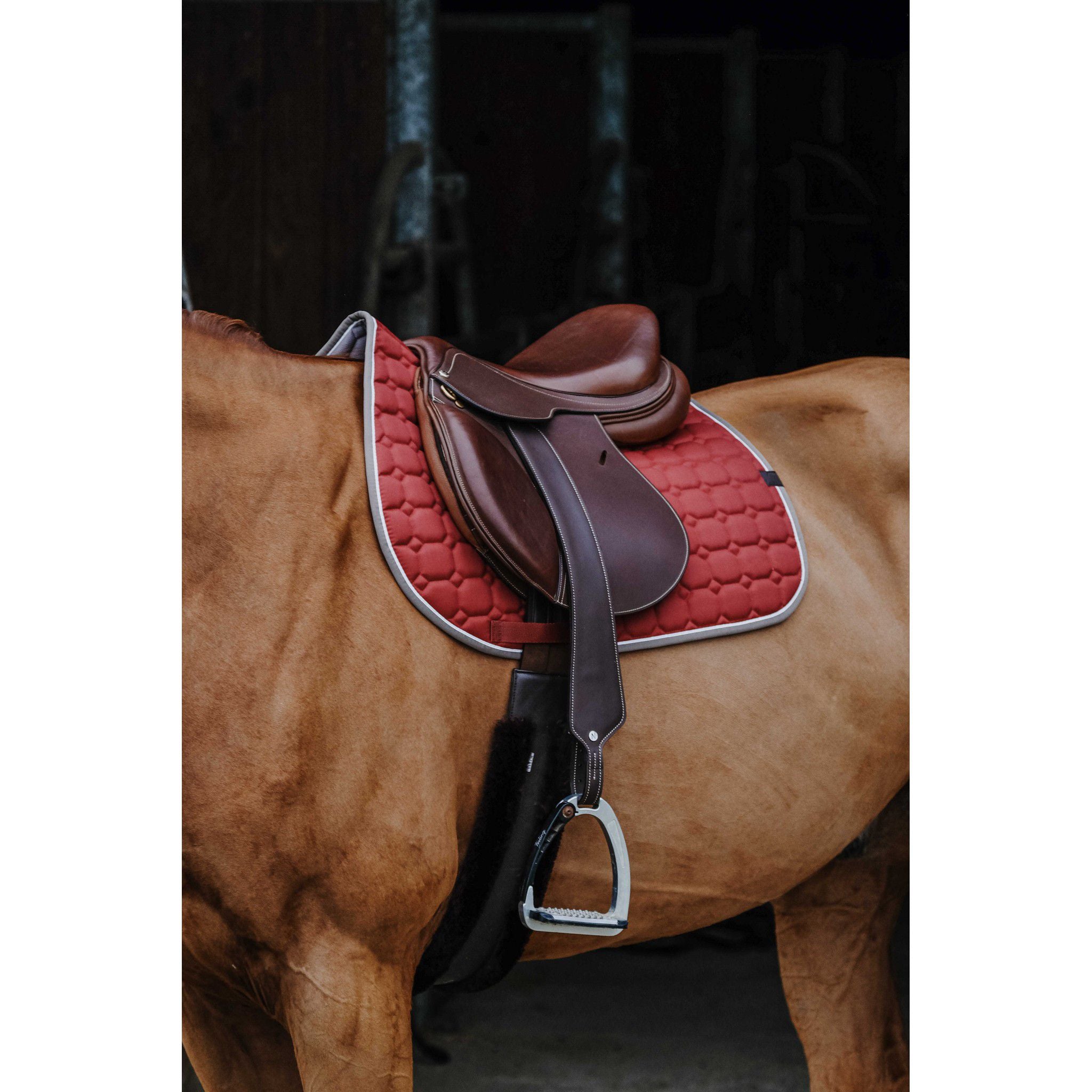 EQUITHÈME Orion saddle pad - All purpose Cherry 204774003