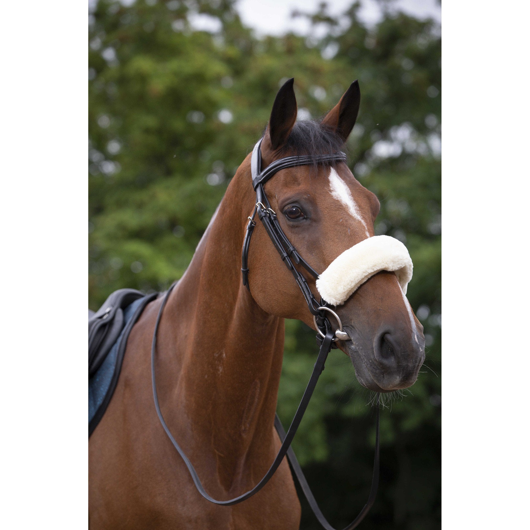 EQUITHÈME Teddy noseband sleeve Natural 207501301