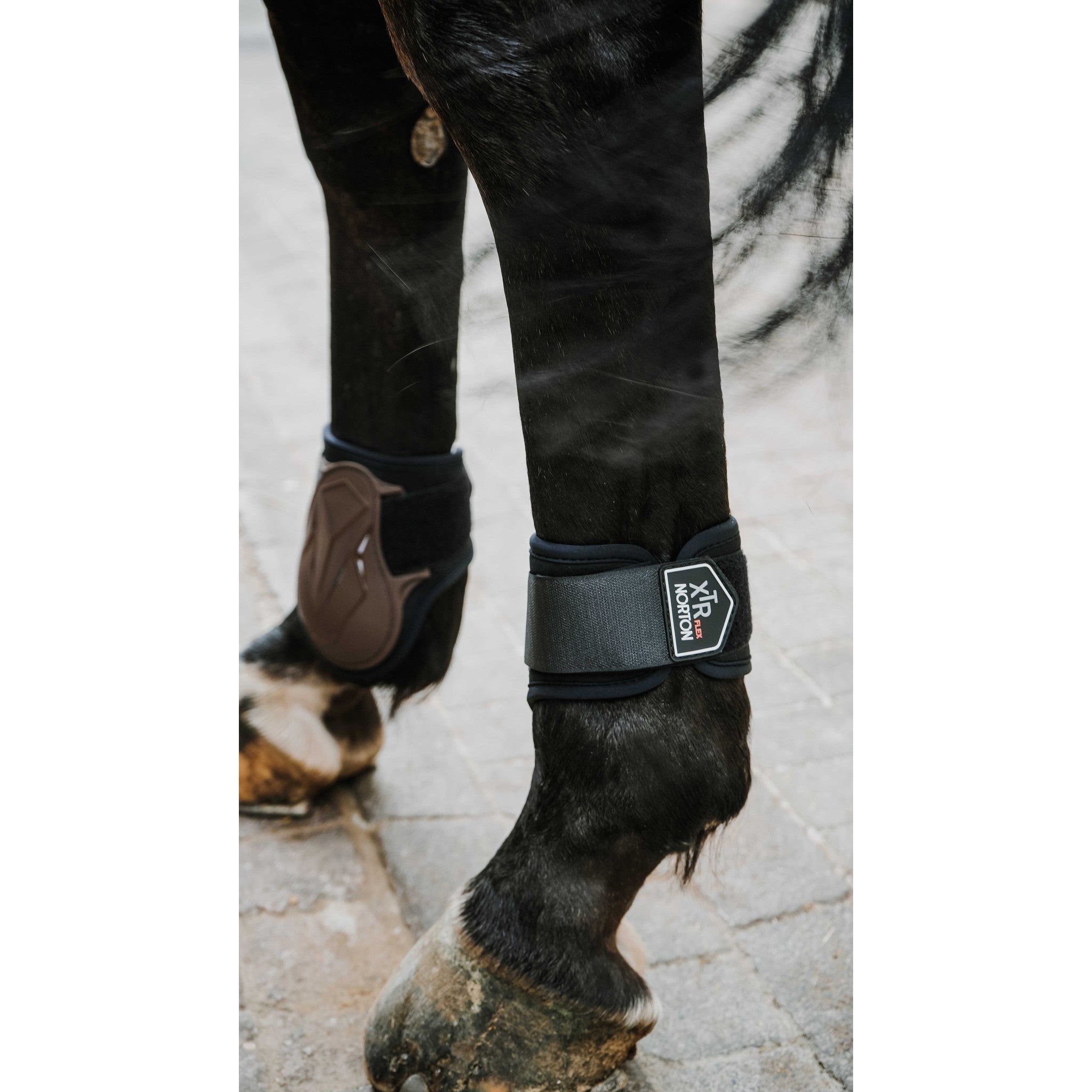 Norton XTR Flex Velcro Fetlock Boots chestnut brown 530678304