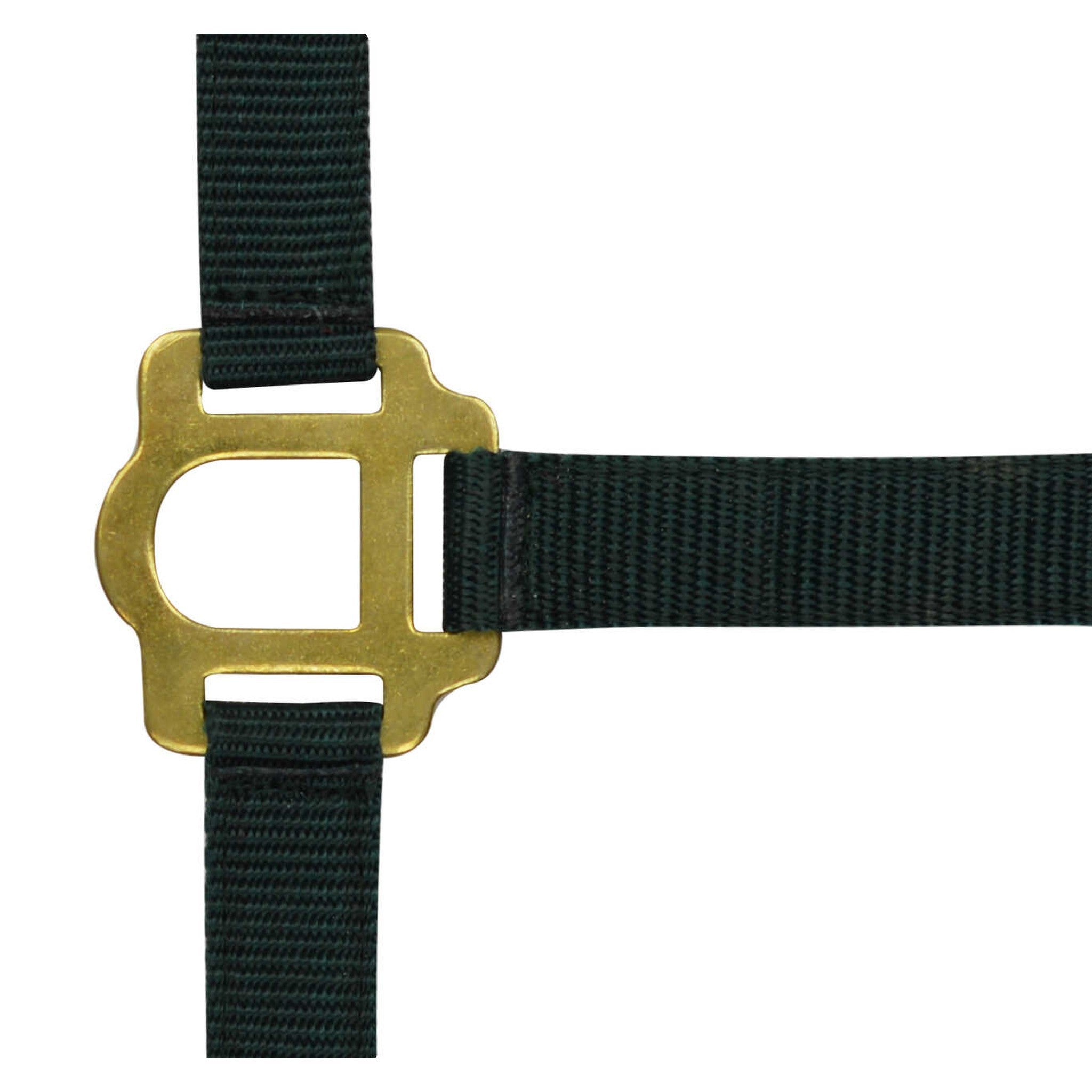 Riding World Nylon headcollar Black 510030002