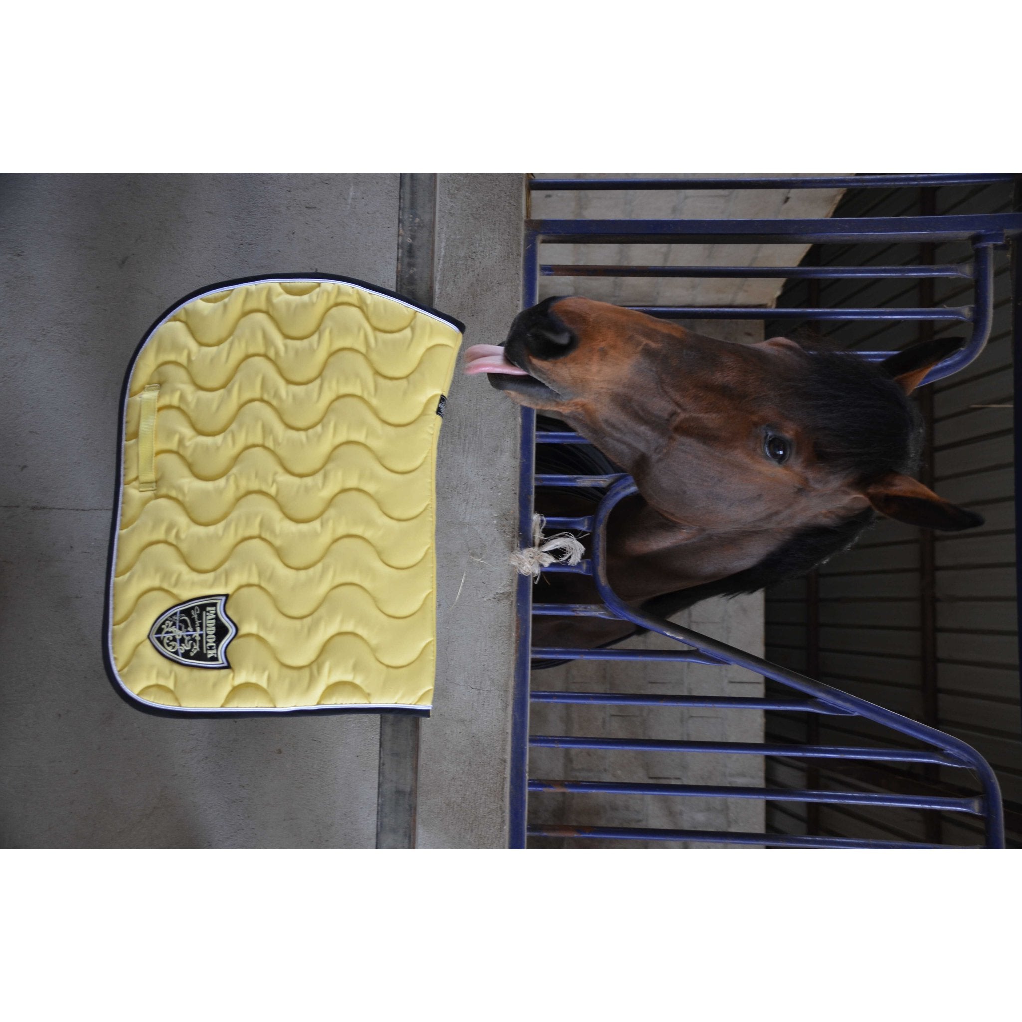 Paddock Sports Origin Saddle Pad with Crest - All-Purpose Yellow - 204742010_ambi_13