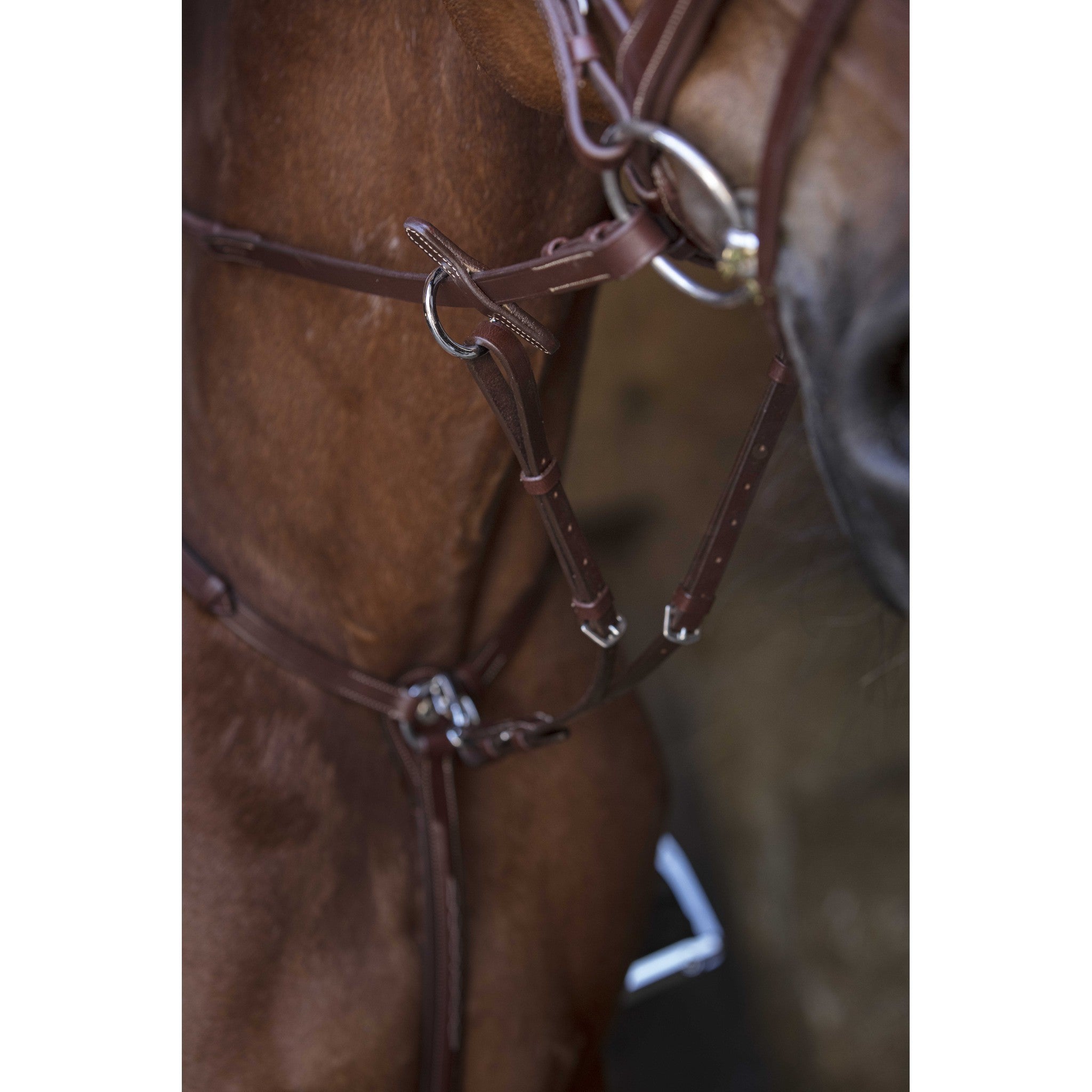 Norton Pro Hunting Breastplate Havana 306589318