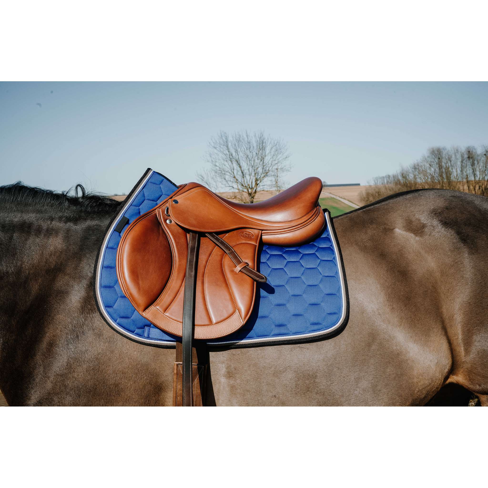 EQUITHÈME All-Purpose Saddle Pad - Coco Royal blue - 204913006_ambi_1