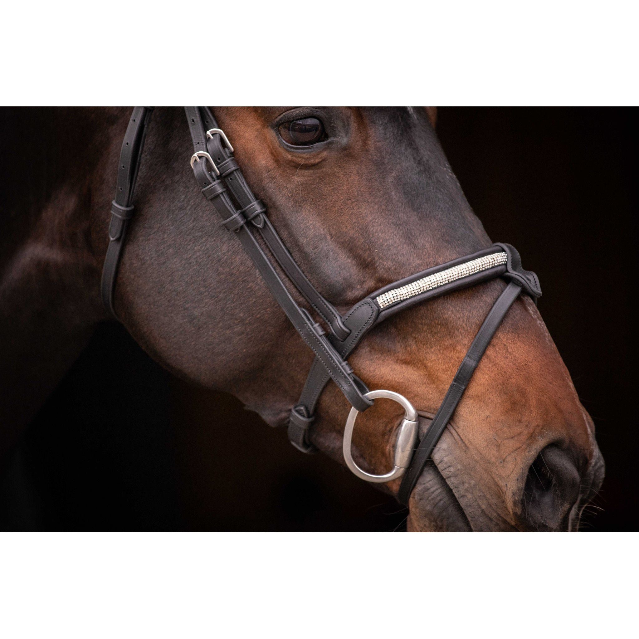 Pénélope Symphonie Bridle Black 301612302