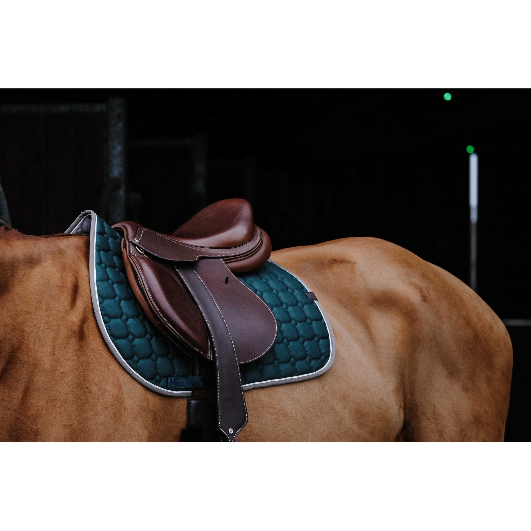 EQUITHÈME Orion saddle pad - All purpose Dark green 204774008