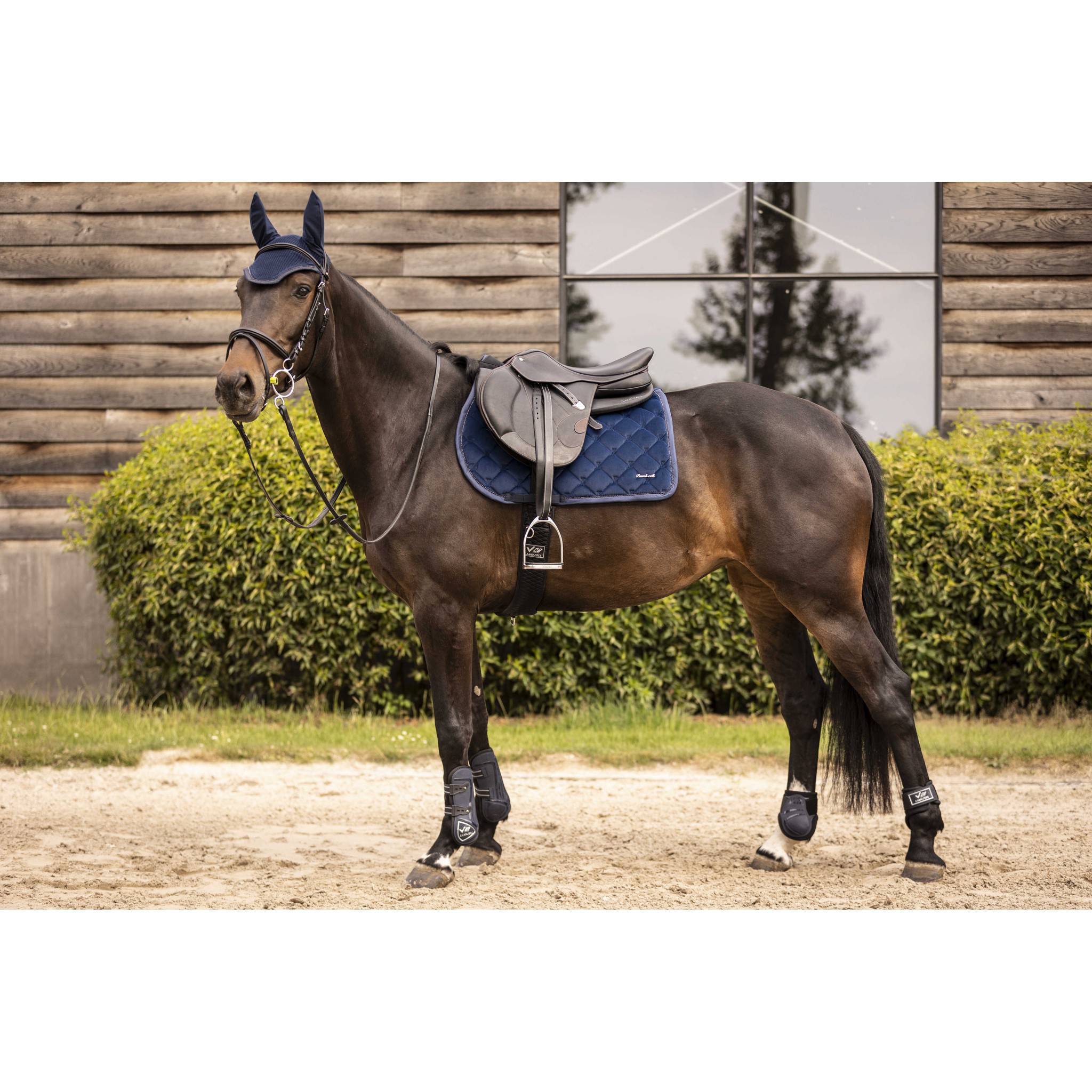 Lami-Cell Galaxy Velvet Saddle Pad - All purpose Navy blue 220033307