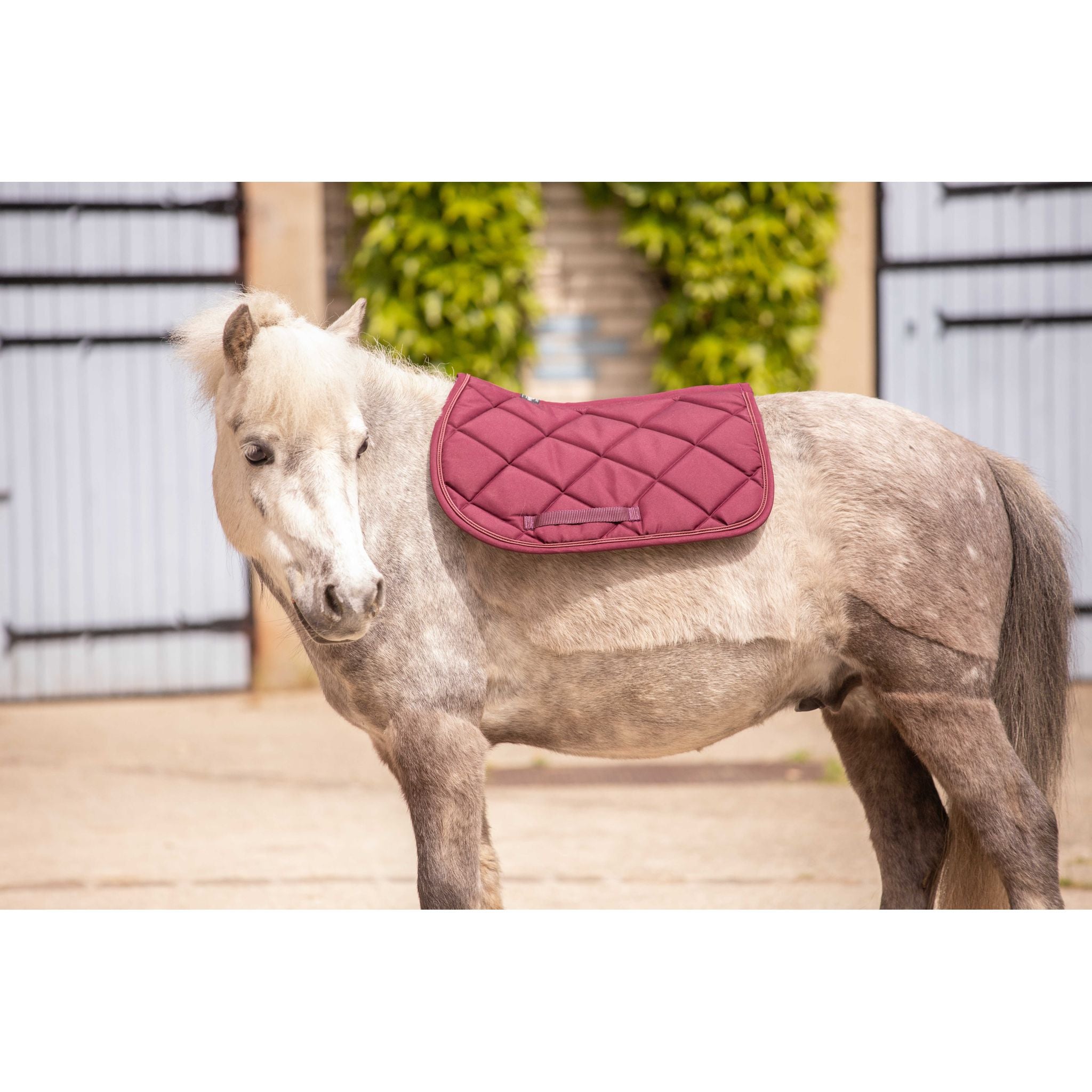 Paddock Sports Prem's All-Purpose Saddle Pad Plum - 204746034_ambi_4