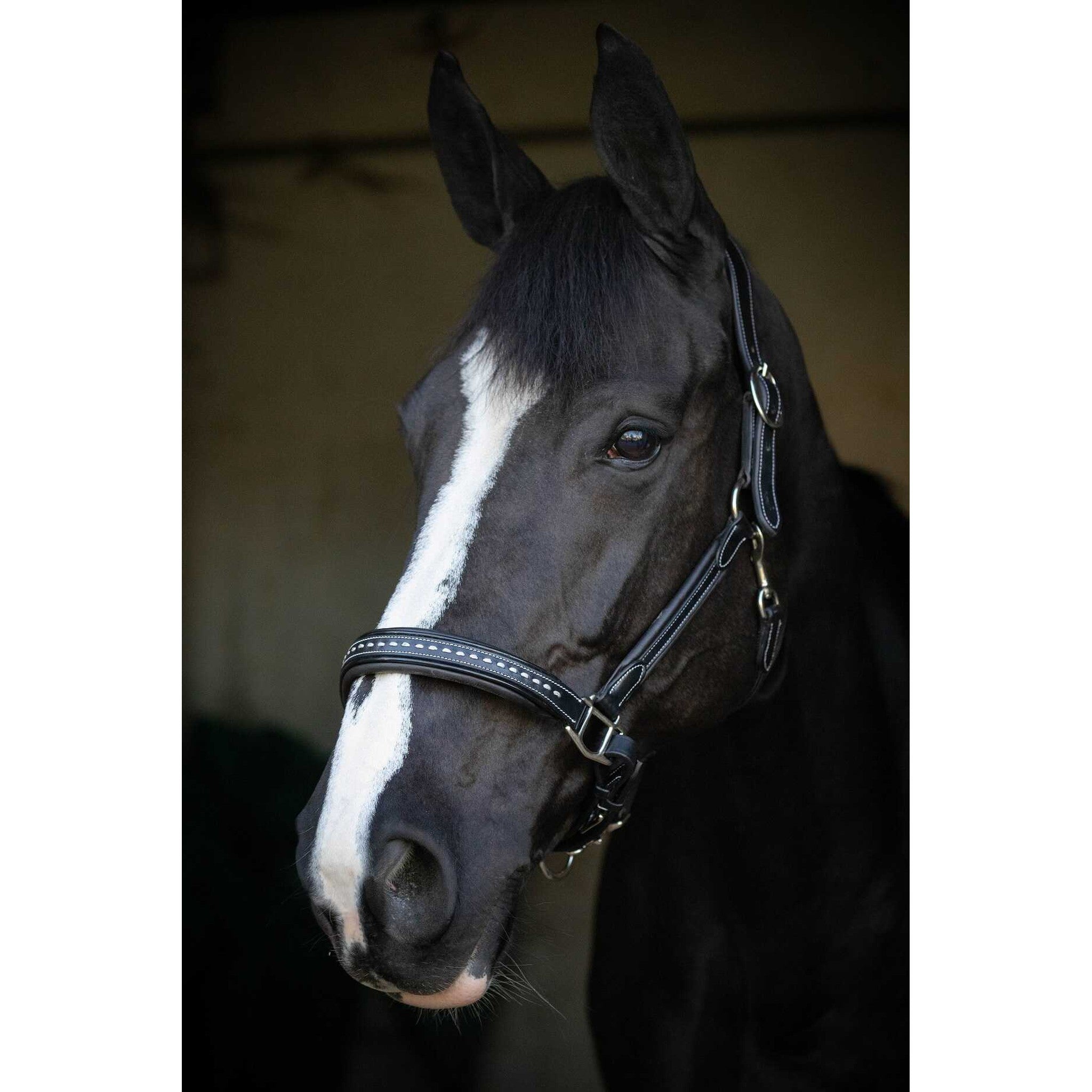 Pénélope Point Sellier Leather halter Black 510310202
