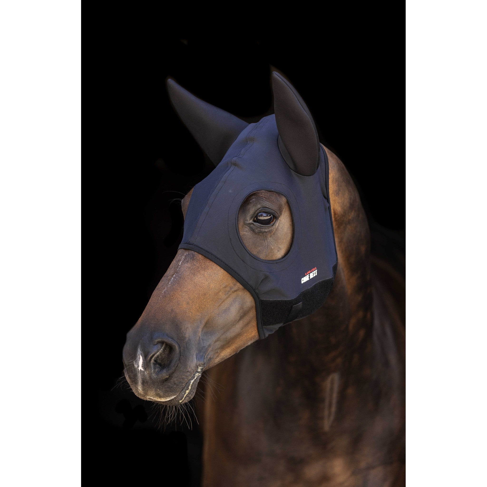 Lami-Cell Titanium Fly mask with ears Black 320027202