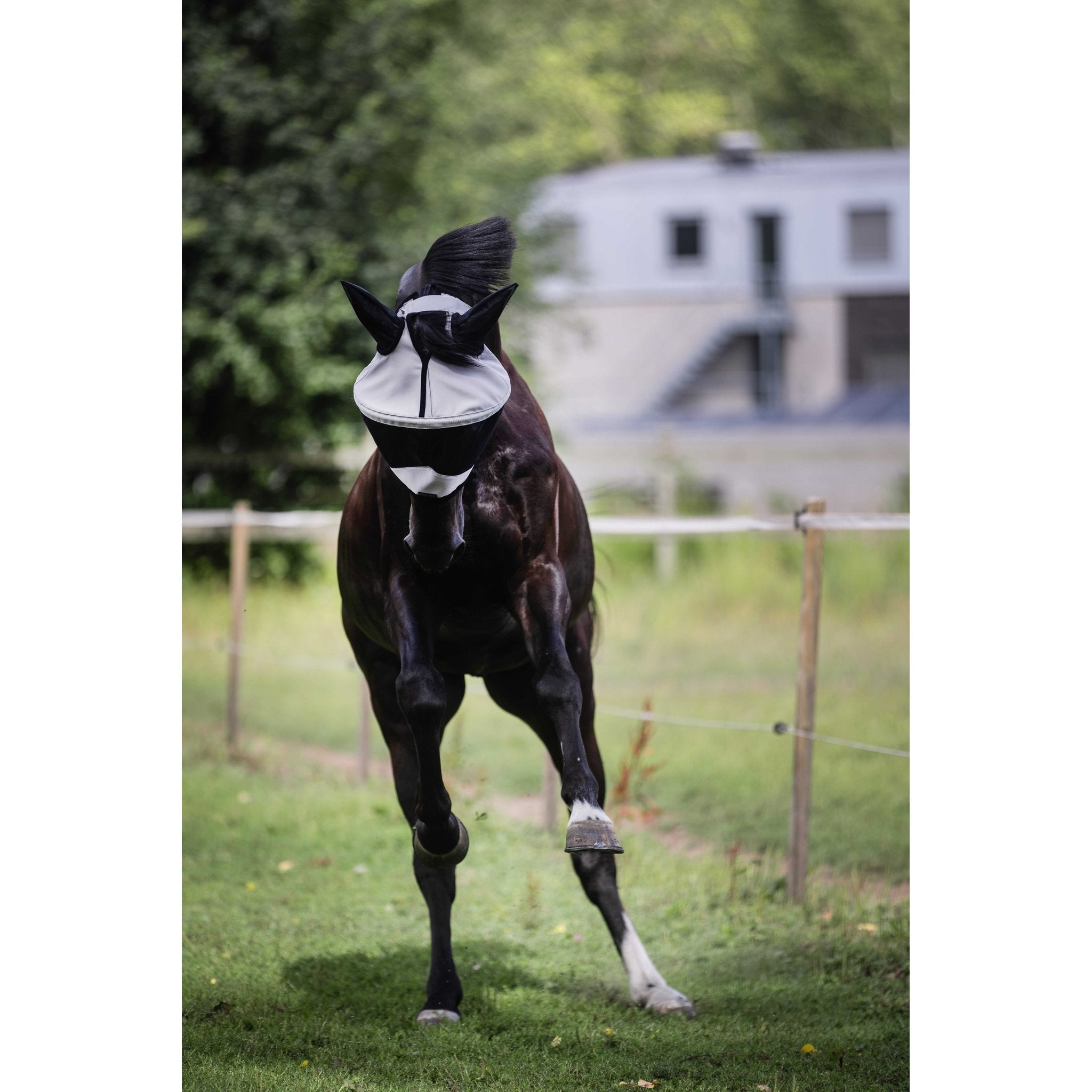 LAMI-CELL Easyfit Fly Mask Grey - 306048311_ambi_8