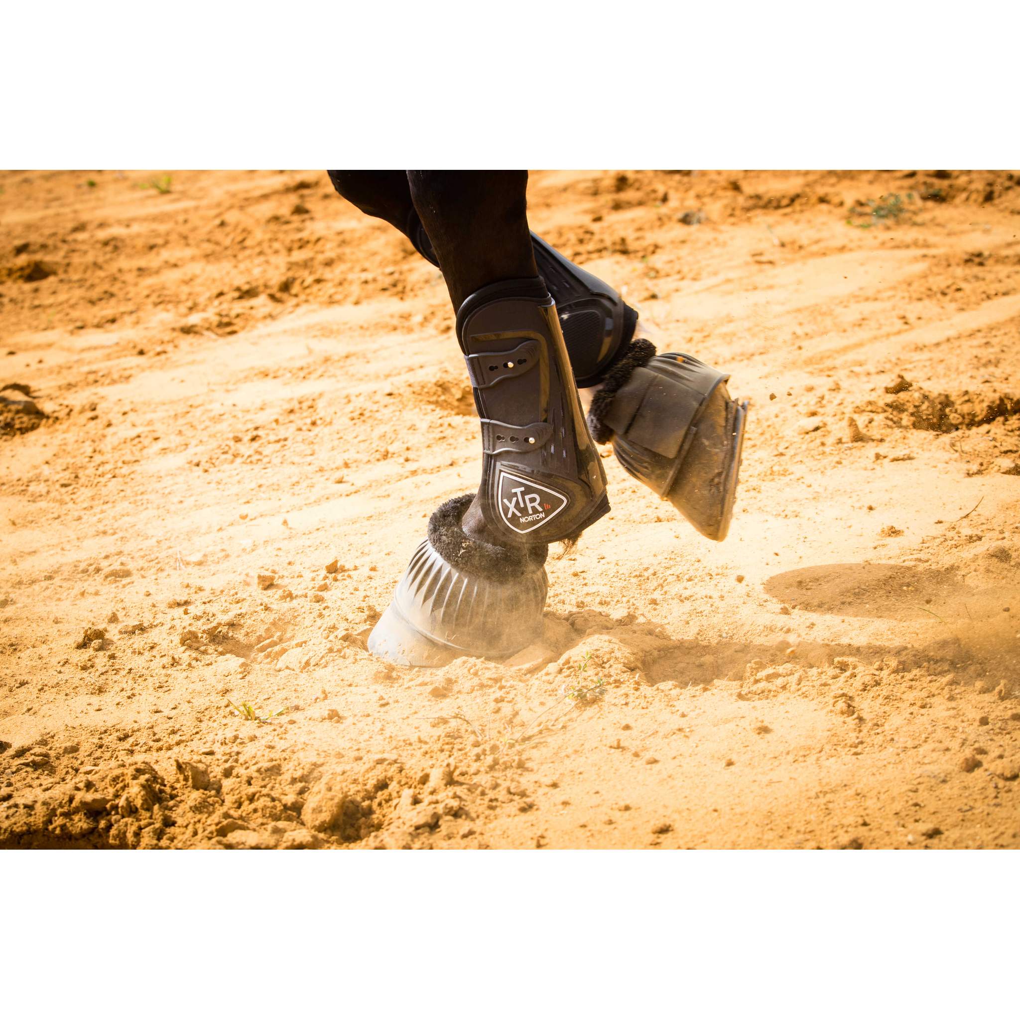 Norton XTR Brushing Boots with Buttons - Black - 530662023_ambi_2