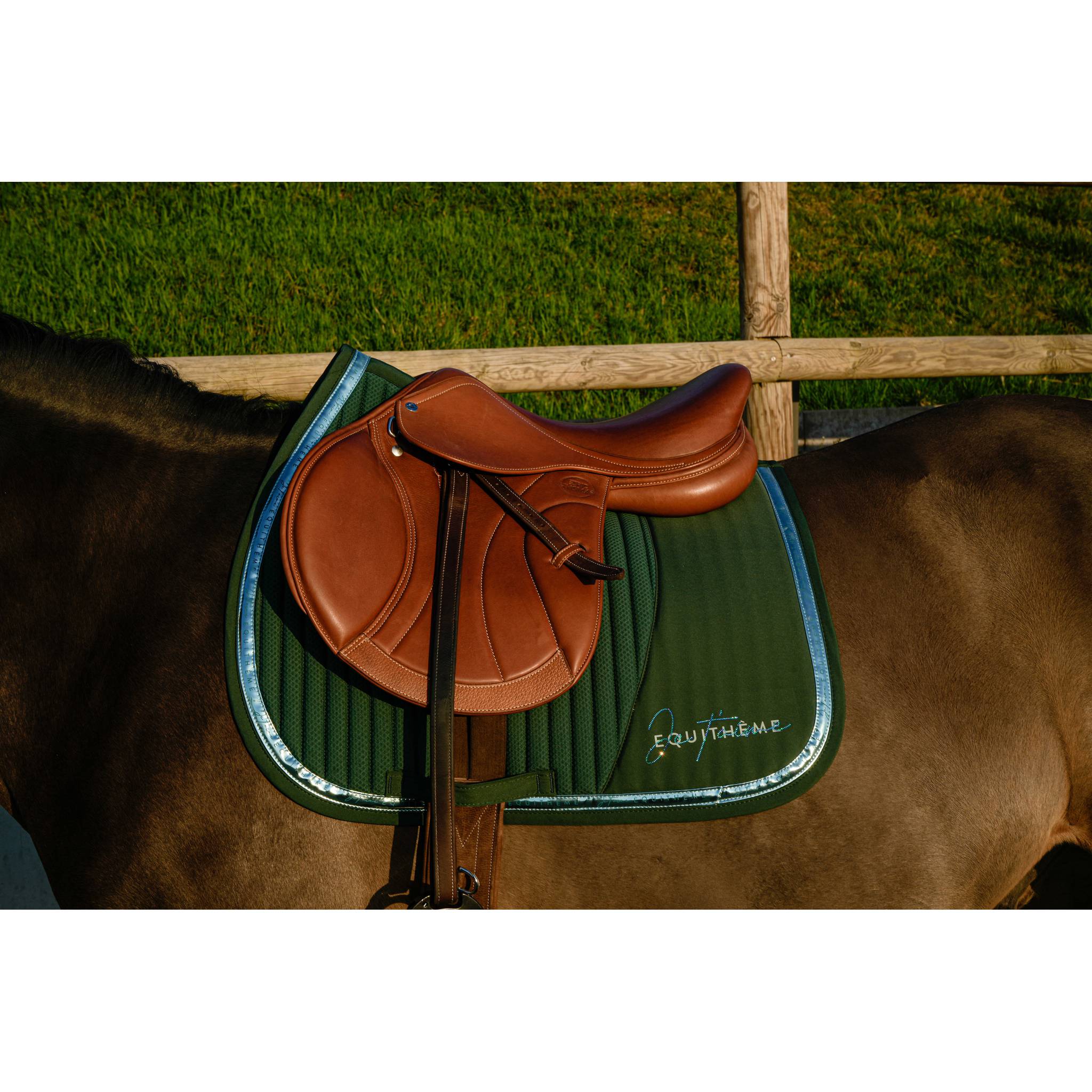 EQUITHÈME Talent All-Purpose Saddle Pad Peacock blue - 204511040_ambi_1