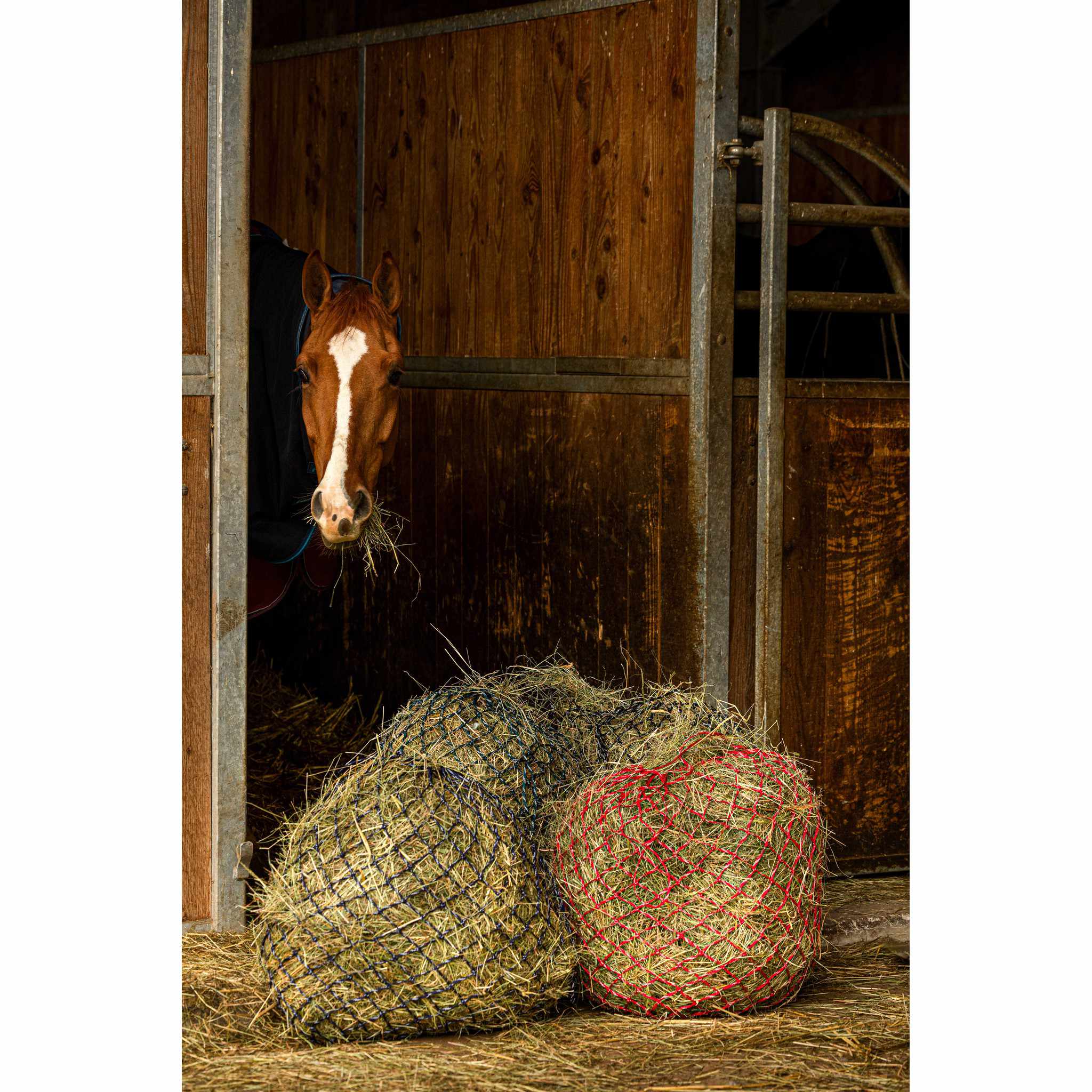 Hippo-Tonic Zari Hay Net Black 306835002